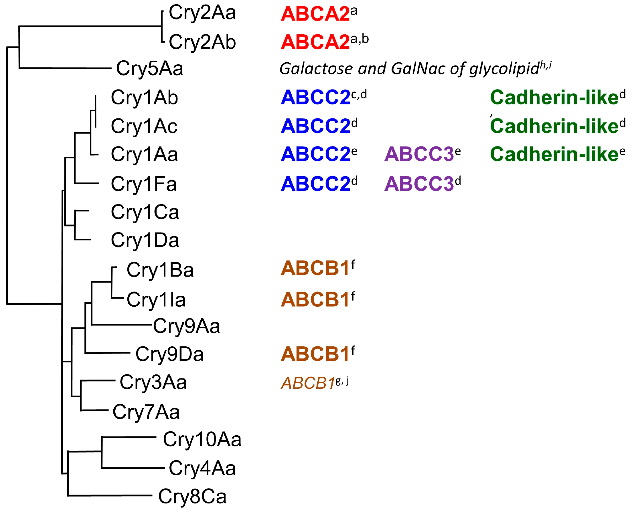 Biomolecules 14 00425 g001