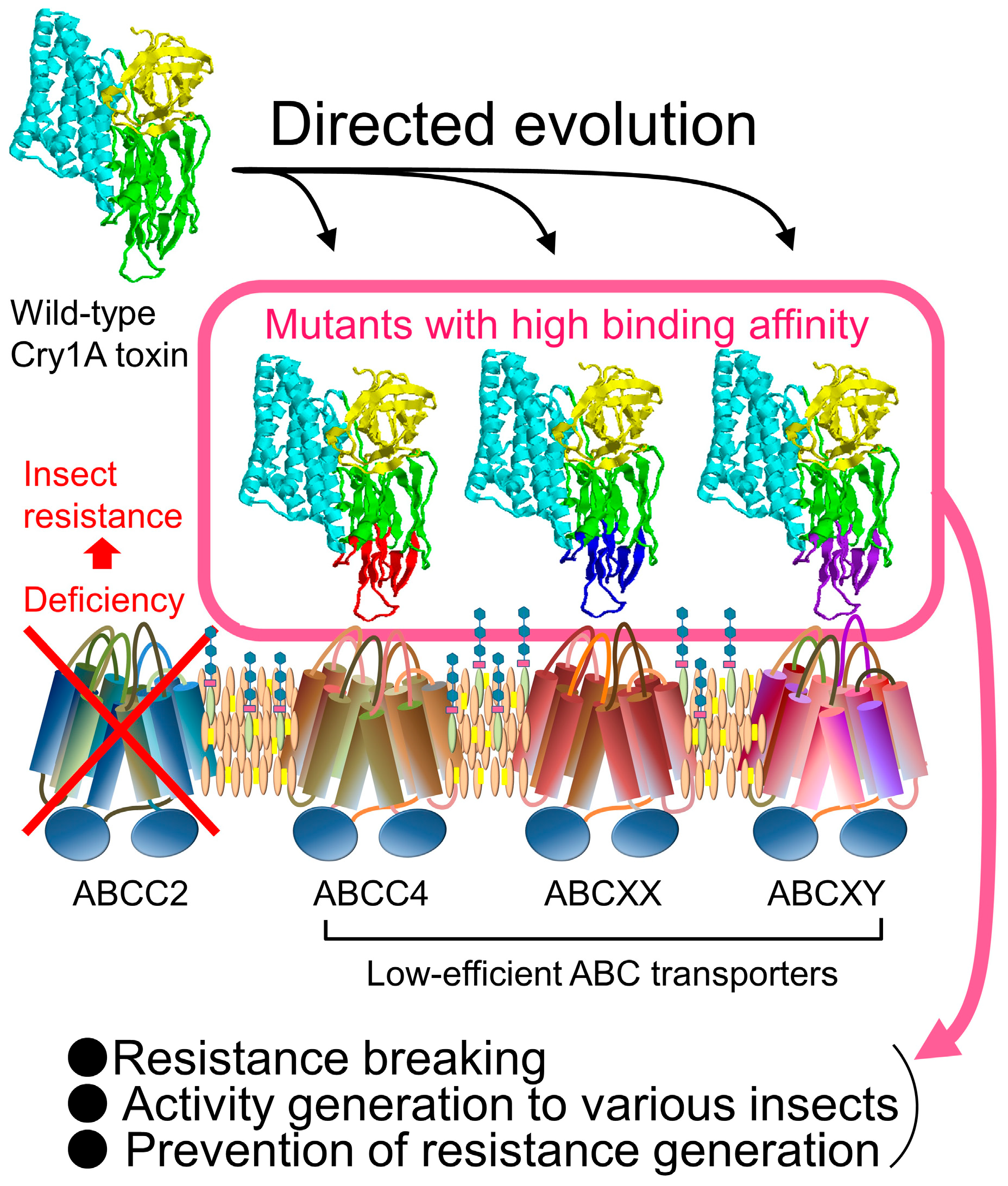 Biomolecules 14 00425 g006