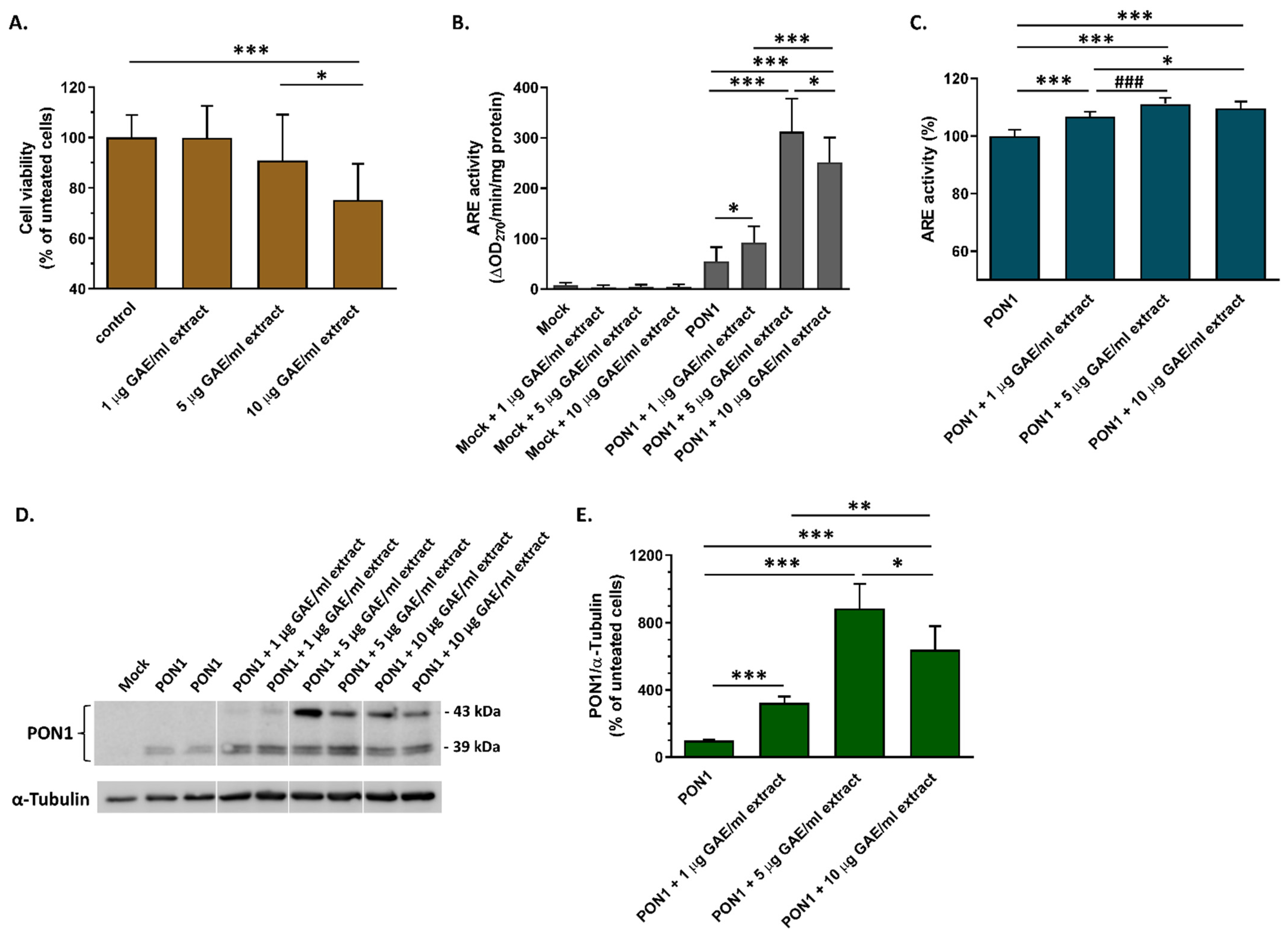 Biomolecules 14 00426 g010