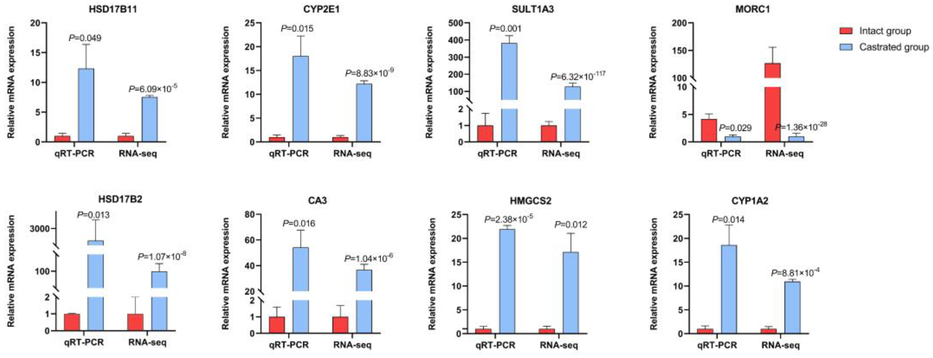 Biomolecules 14 00427 g005 Biomolecules 14 00427 g005