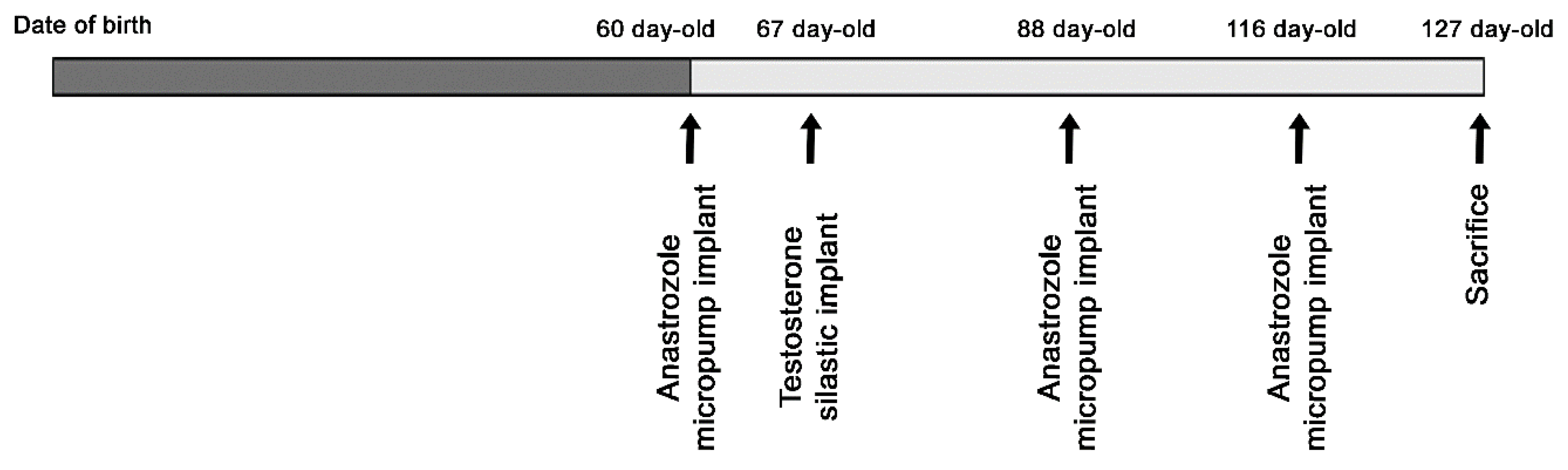 Biomolecules 14 00428 g001