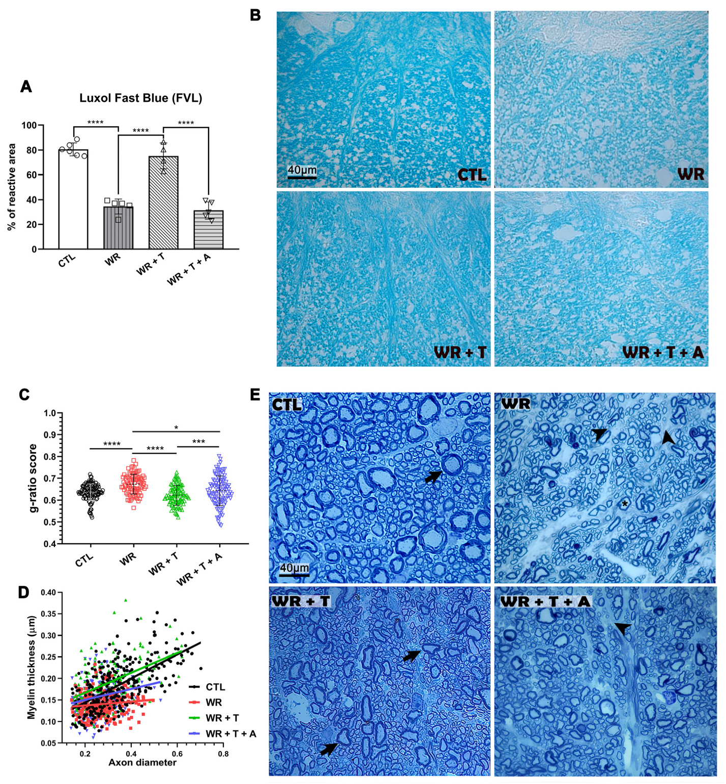 Biomolecules 14 00428 g002