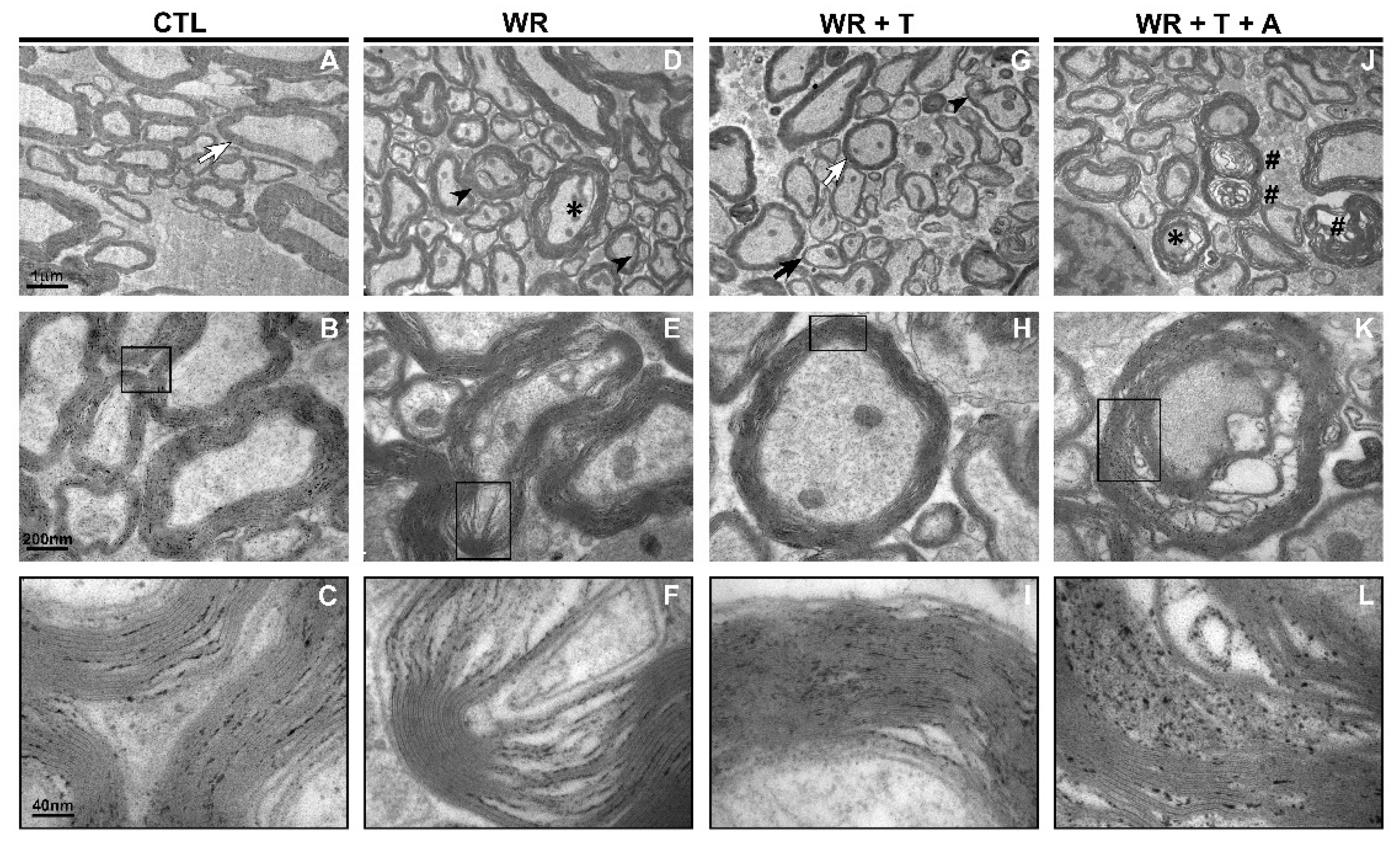 Biomolecules 14 00428 g003