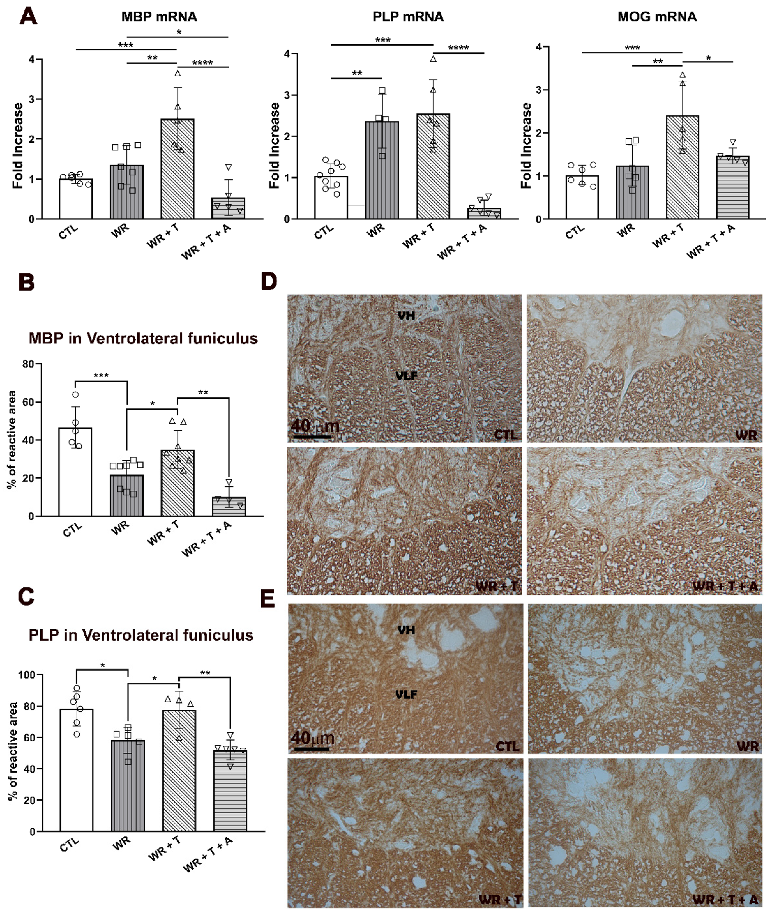 Biomolecules 14 00428 g004