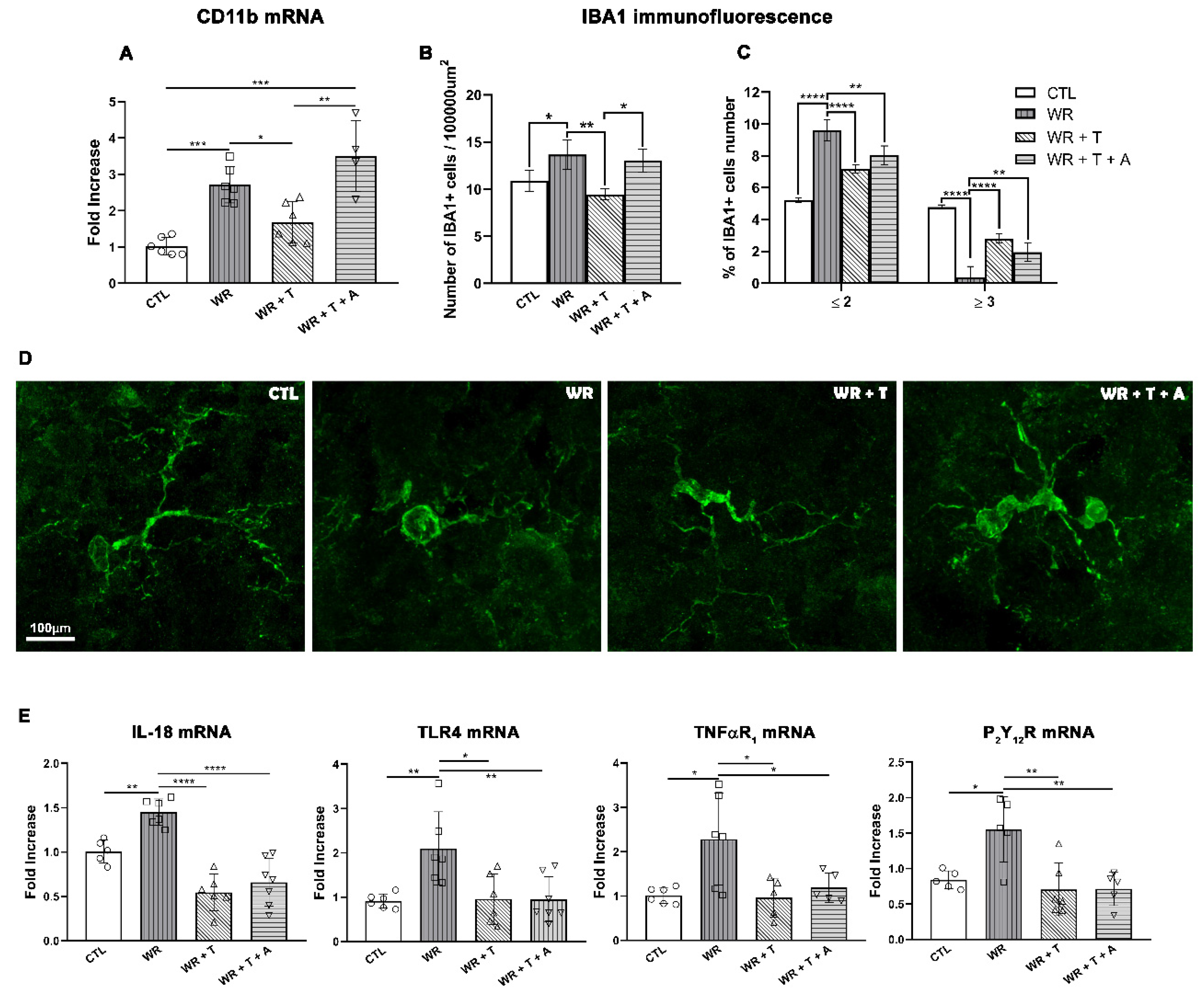 Biomolecules 14 00428 g005