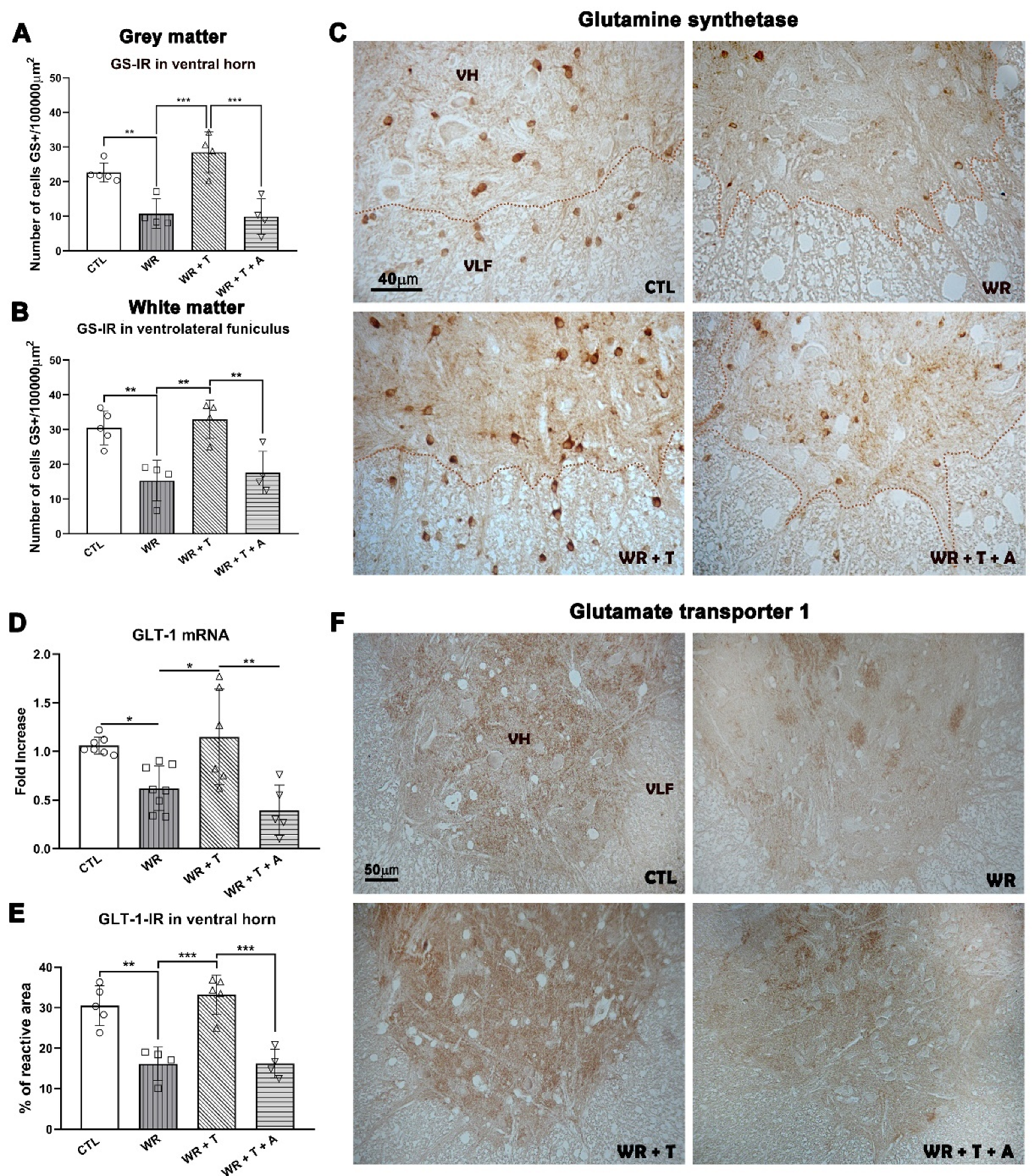 Biomolecules 14 00428 g006