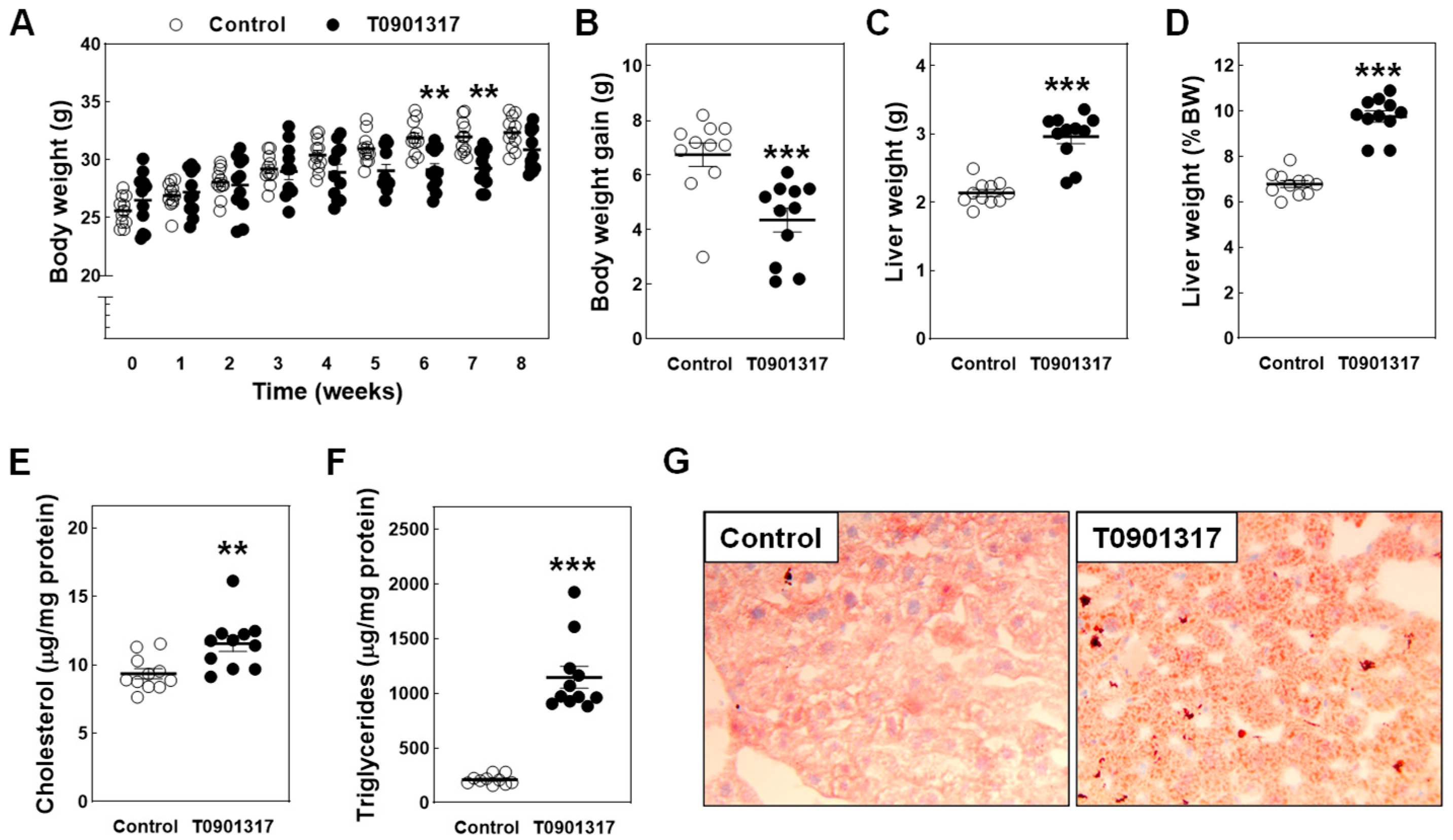 Biomolecules 14 00429 g001