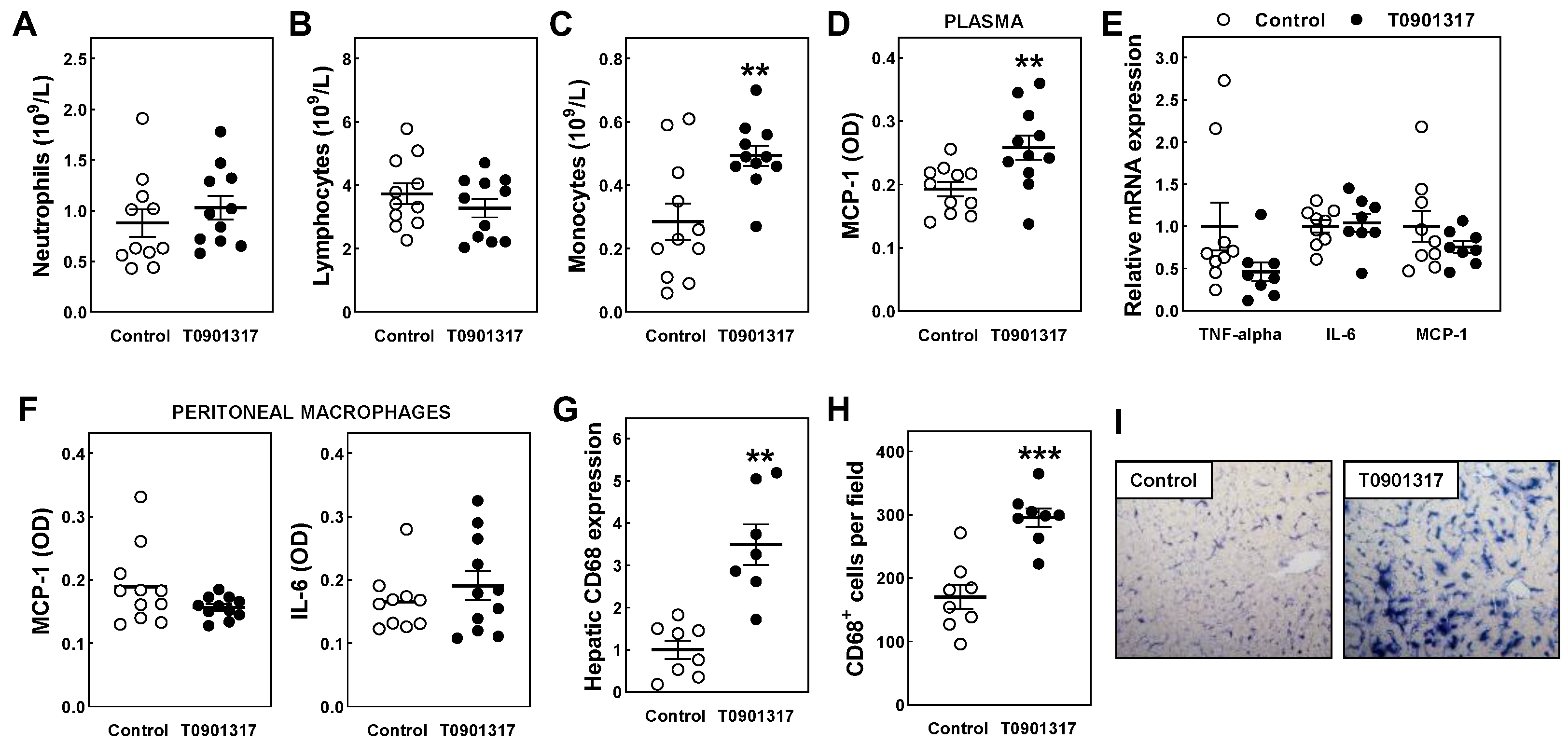 Biomolecules 14 00429 g005