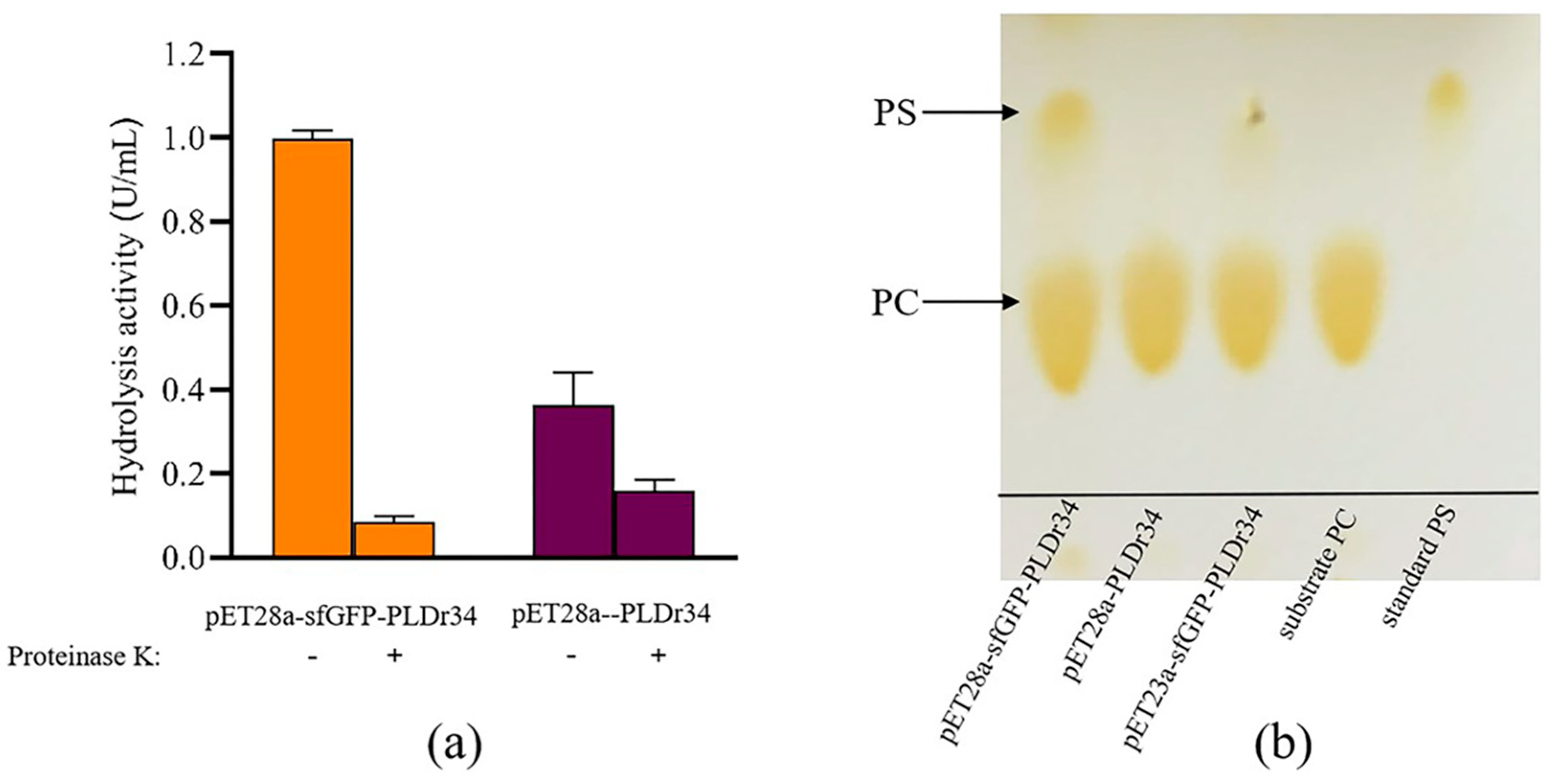 Biomolecules 14 00430 g002