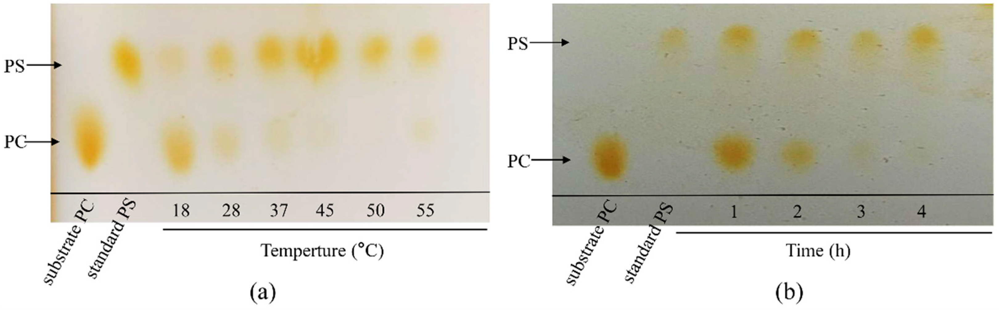 Biomolecules 14 00430 g005
