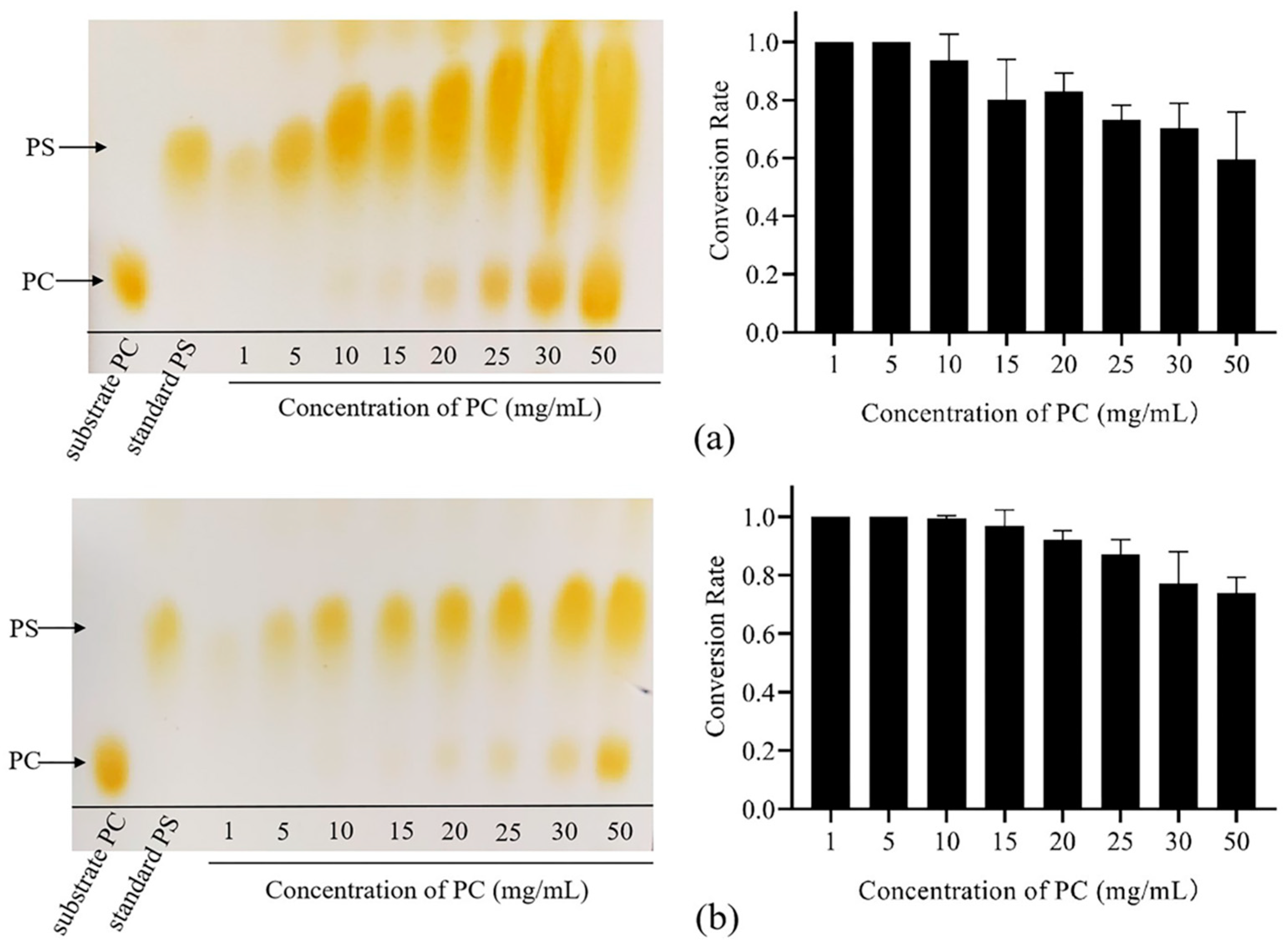 Biomolecules 14 00430 g006