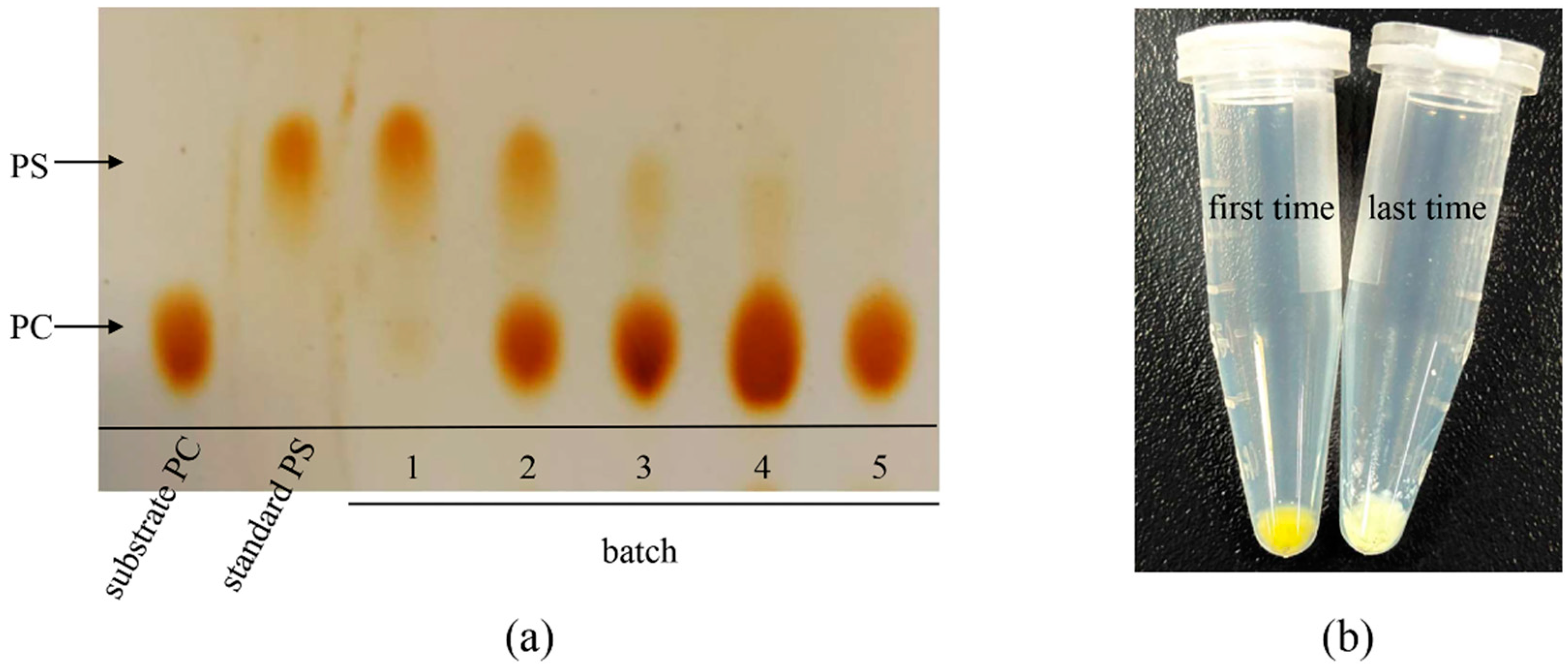 Biomolecules 14 00430 g007