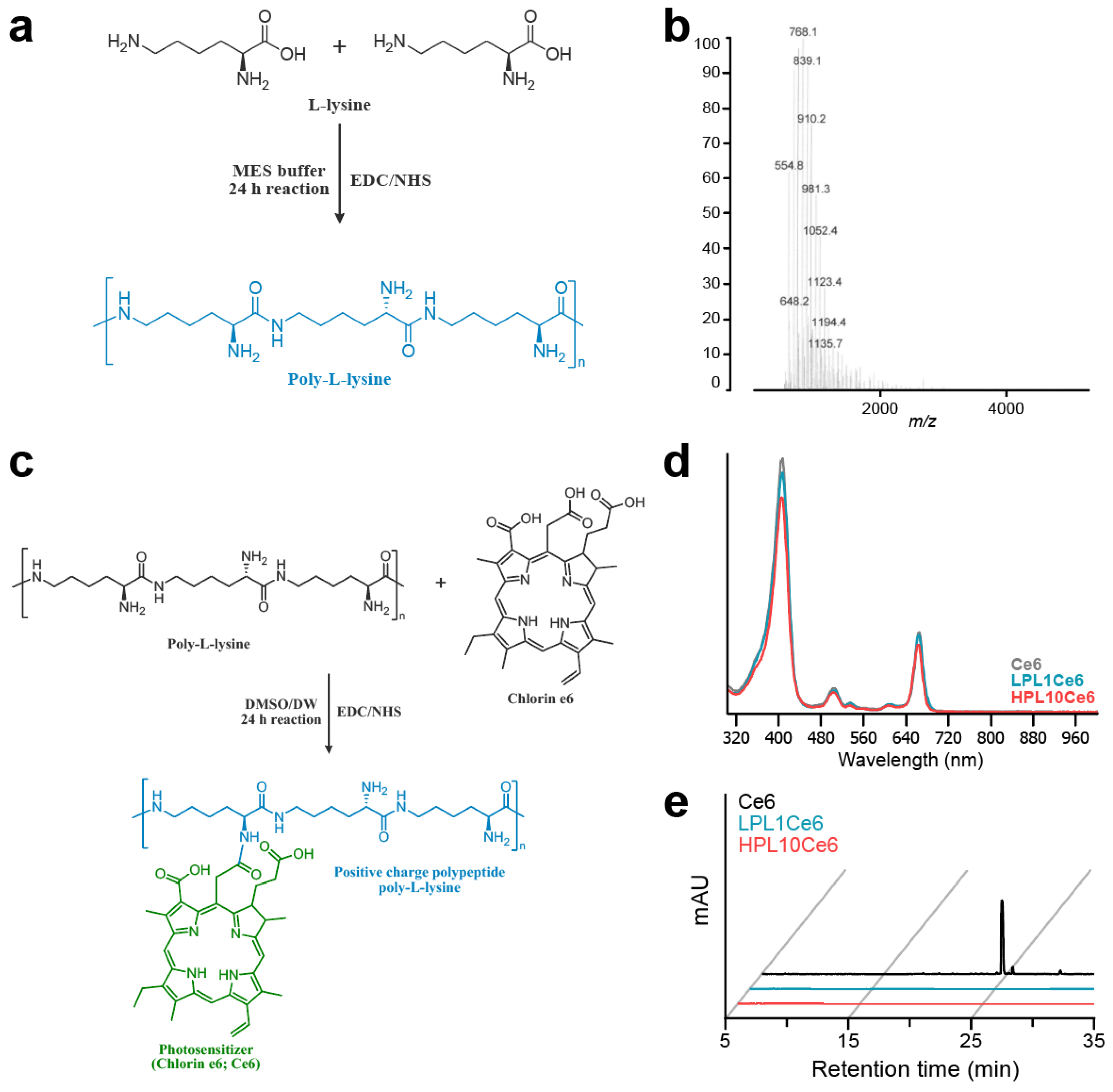 Biomolecules 14 00431 g002