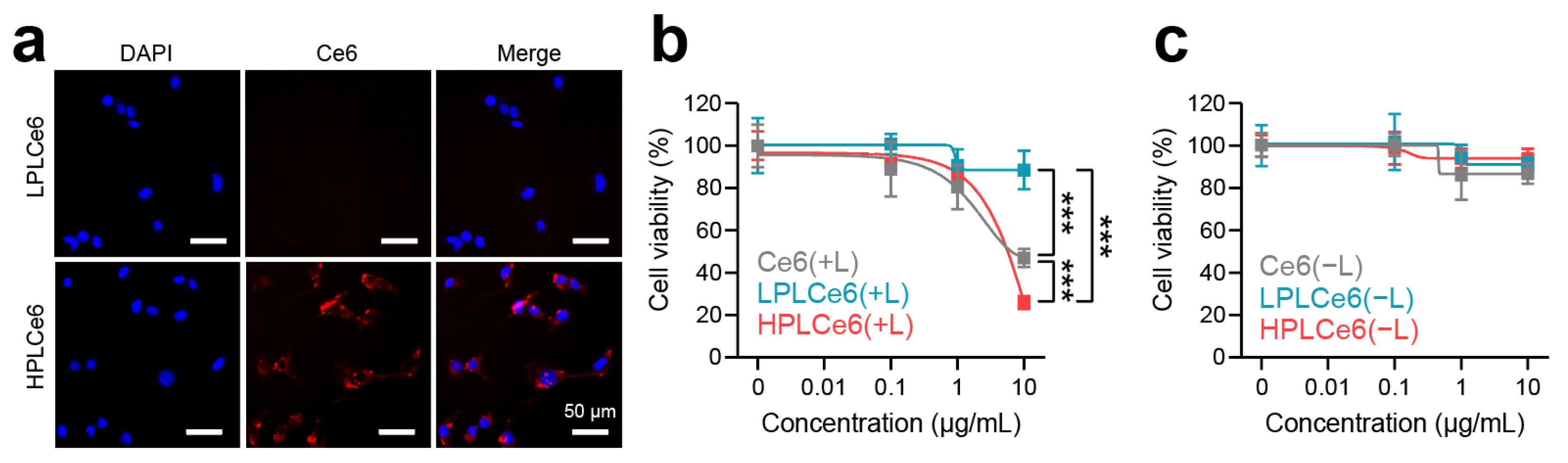 Biomolecules 14 00431 g006
