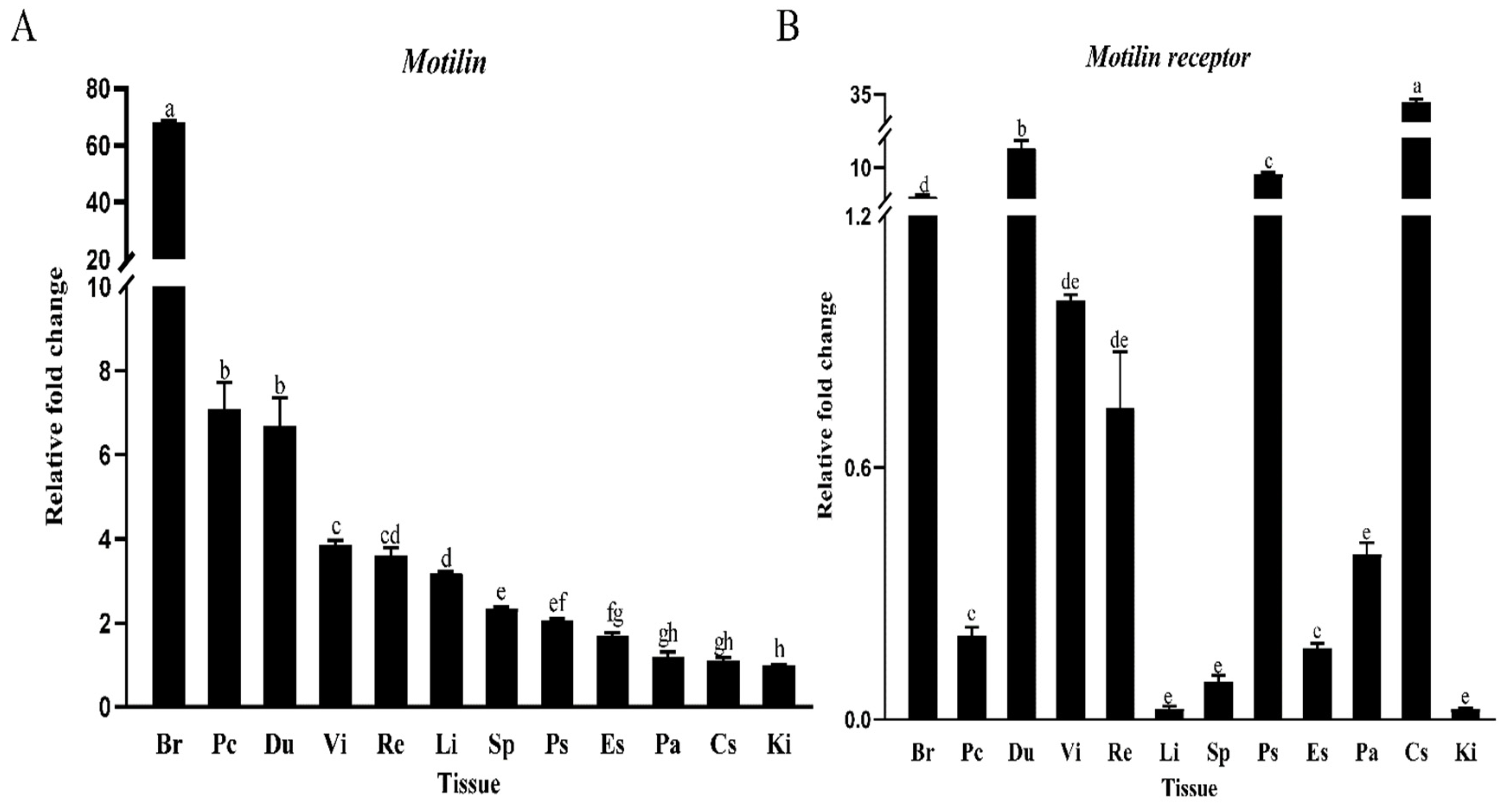 Biomolecules 14 00433 g005 Biomolecules 14 00433 g005