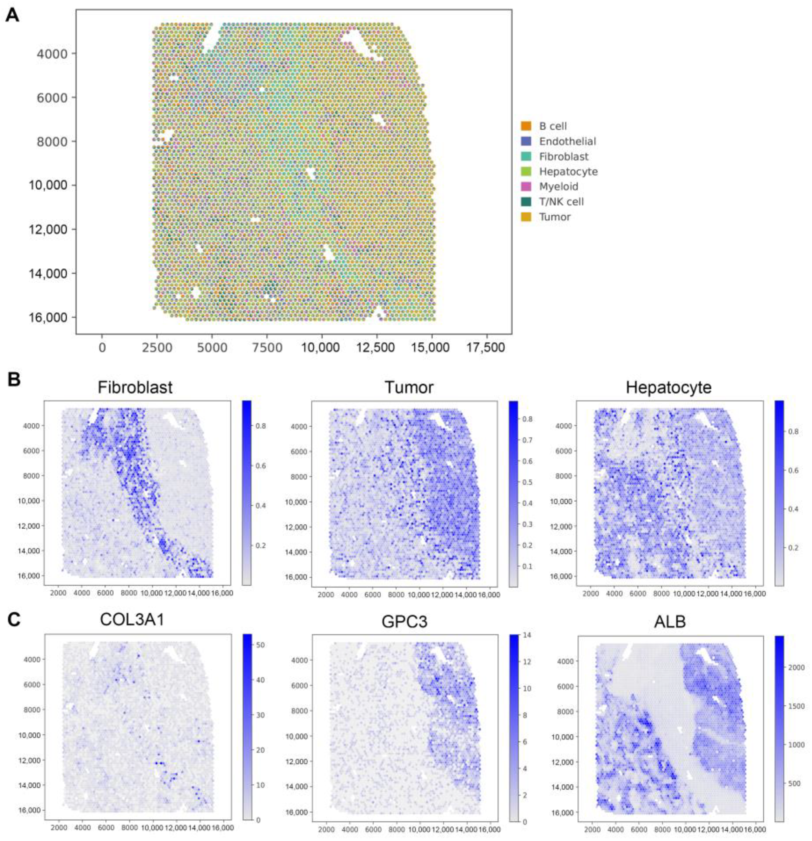 Biomolecules 14 00436 g004