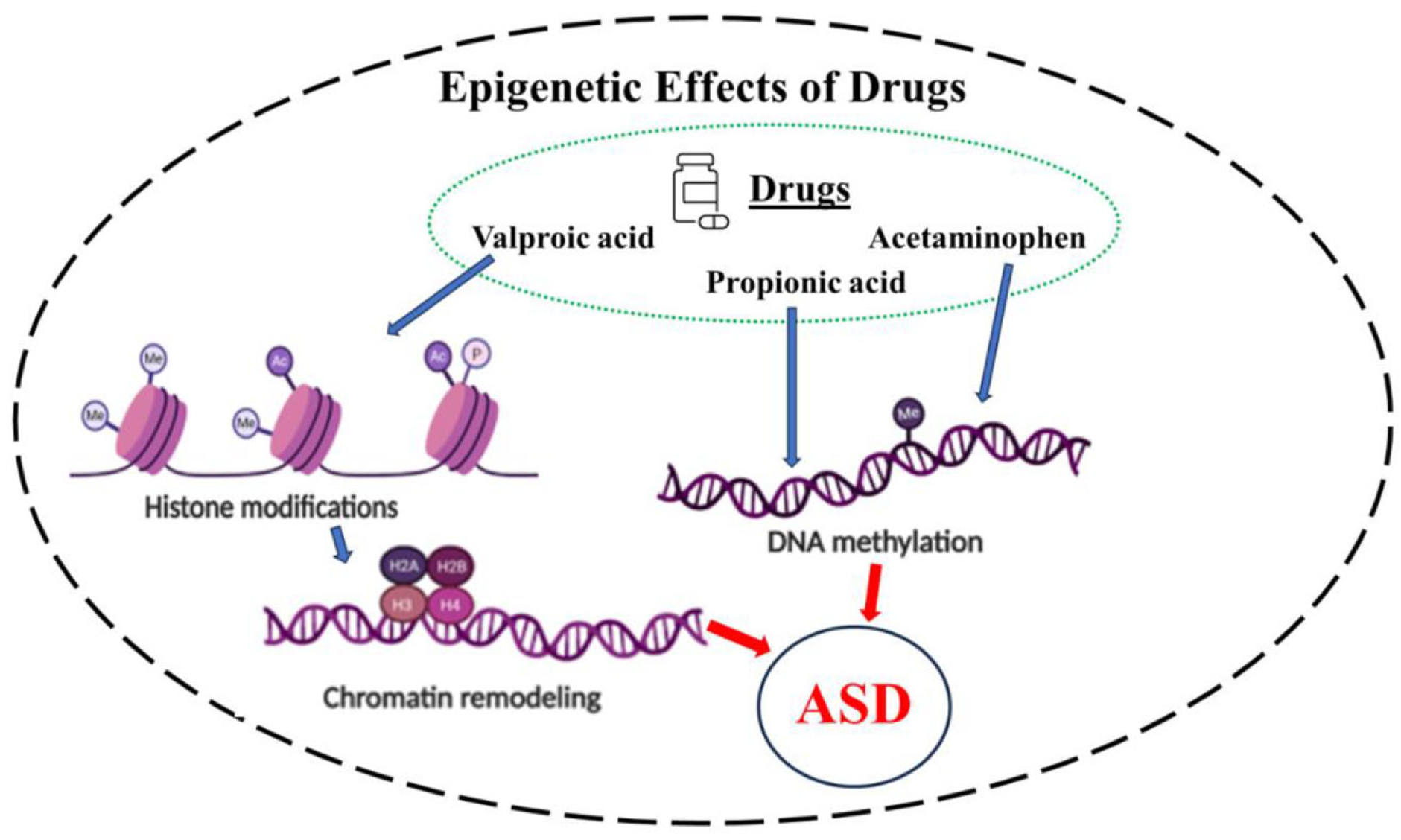 Biomolecules 14 00437 g001