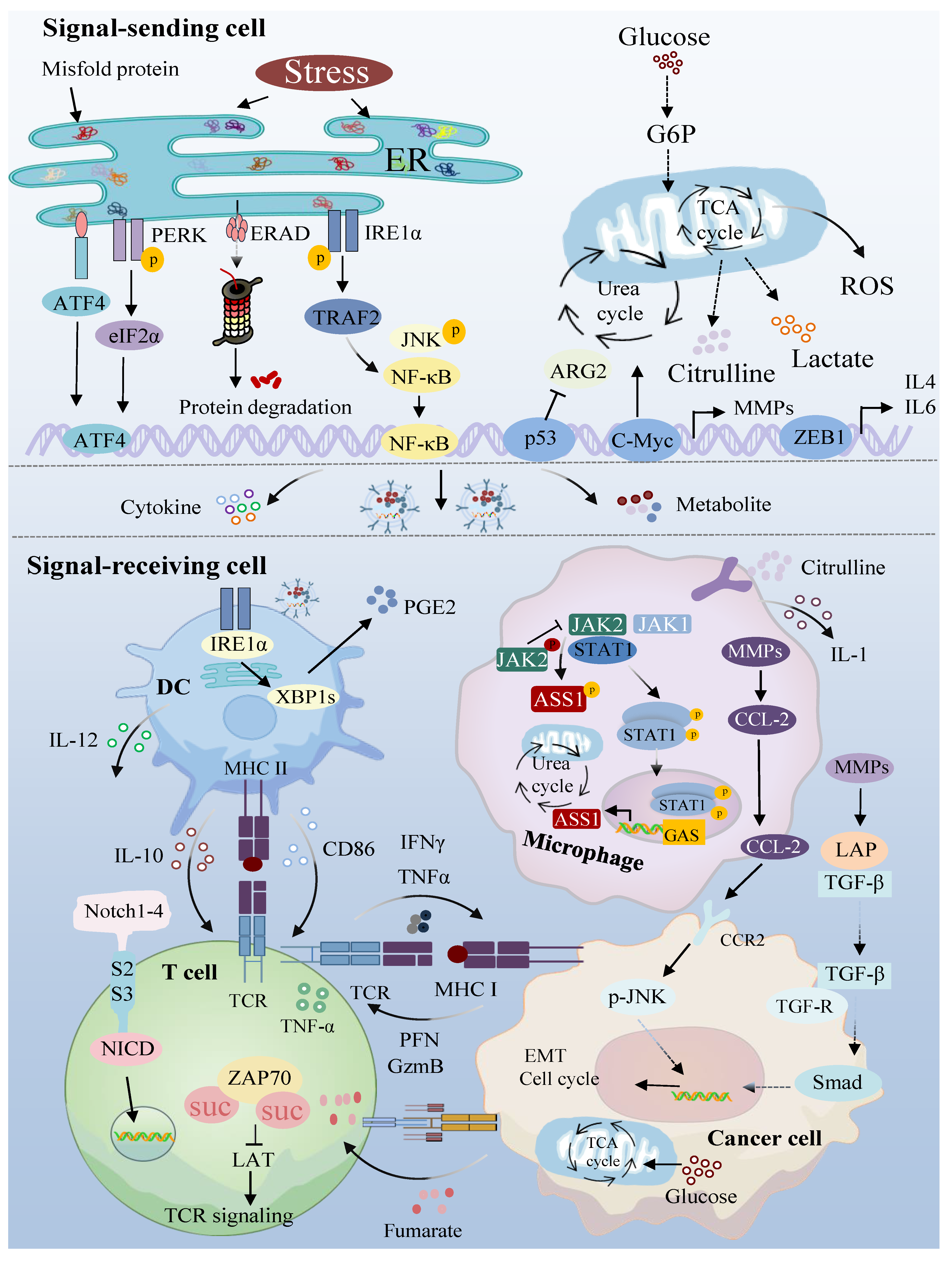 Biomolecules 14 00438 g003