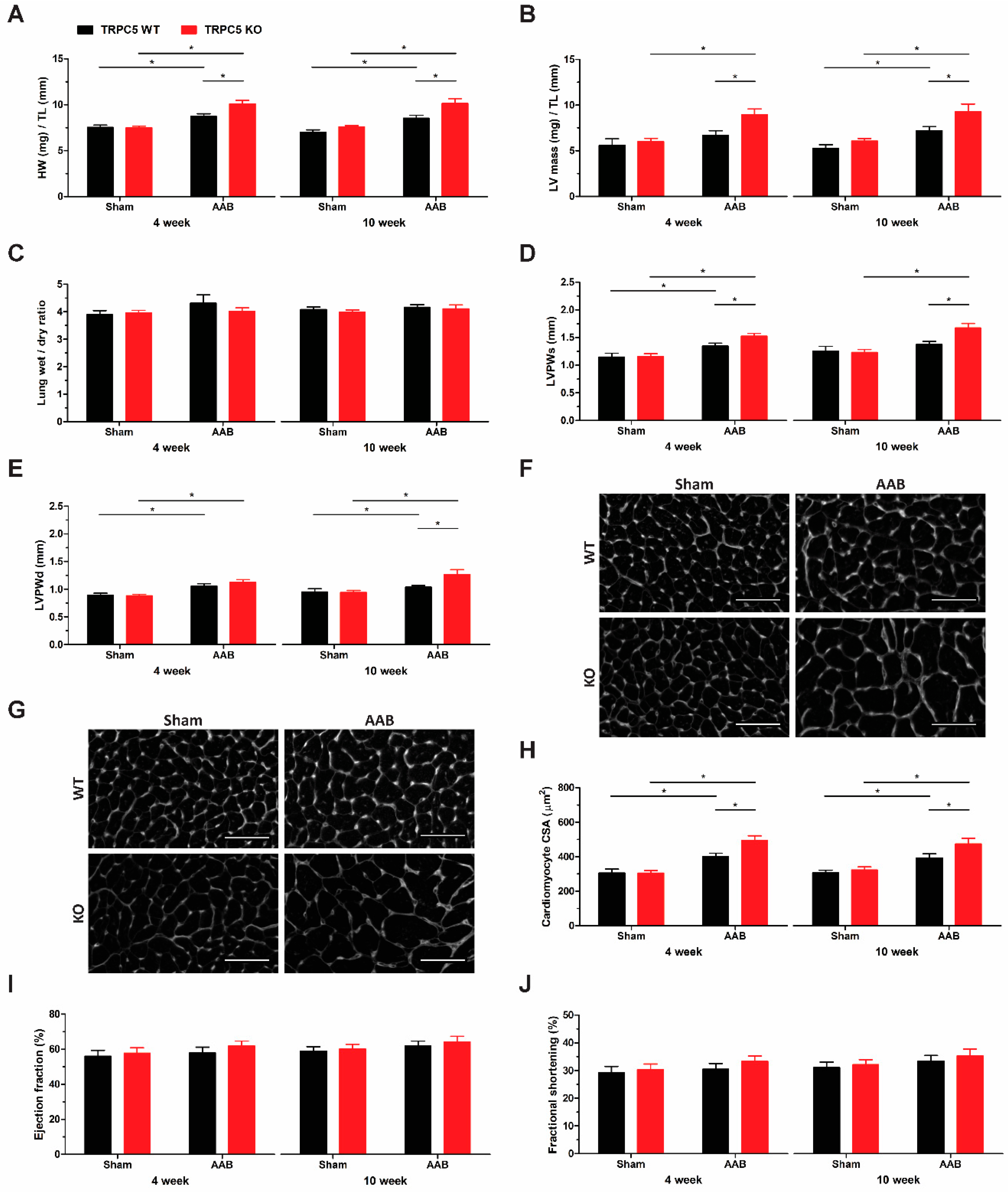 Biomolecules 14 00442 g003