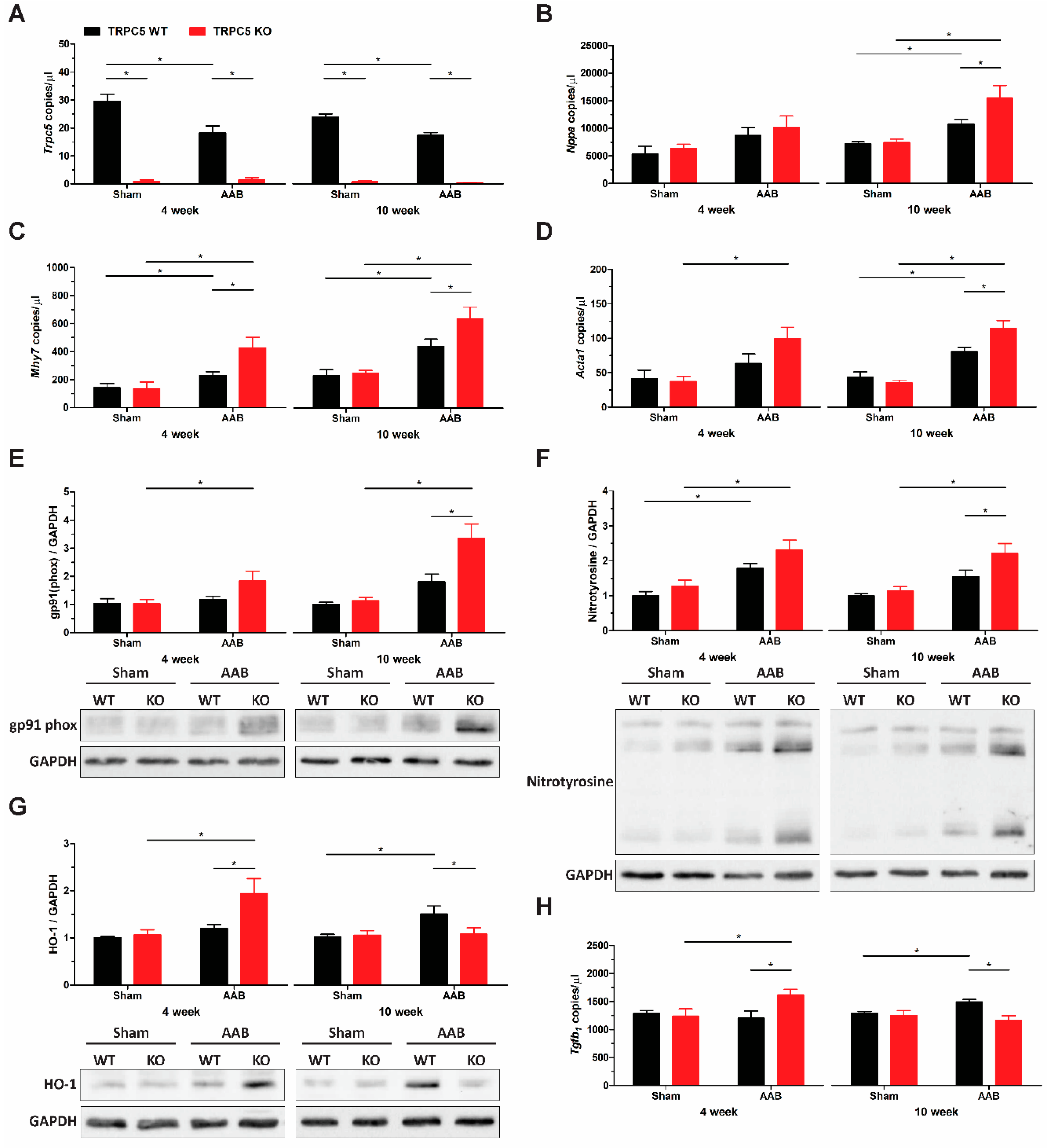 Biomolecules 14 00442 g004