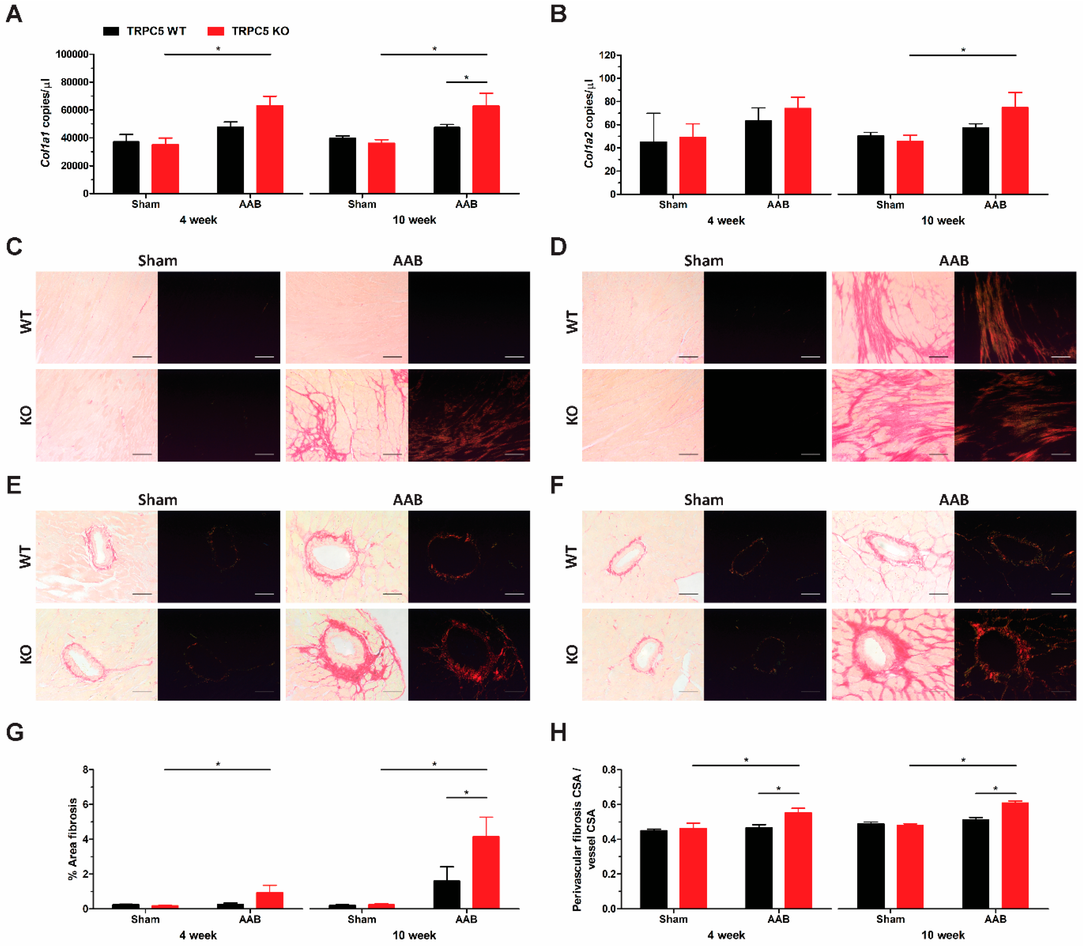 Biomolecules 14 00442 g005