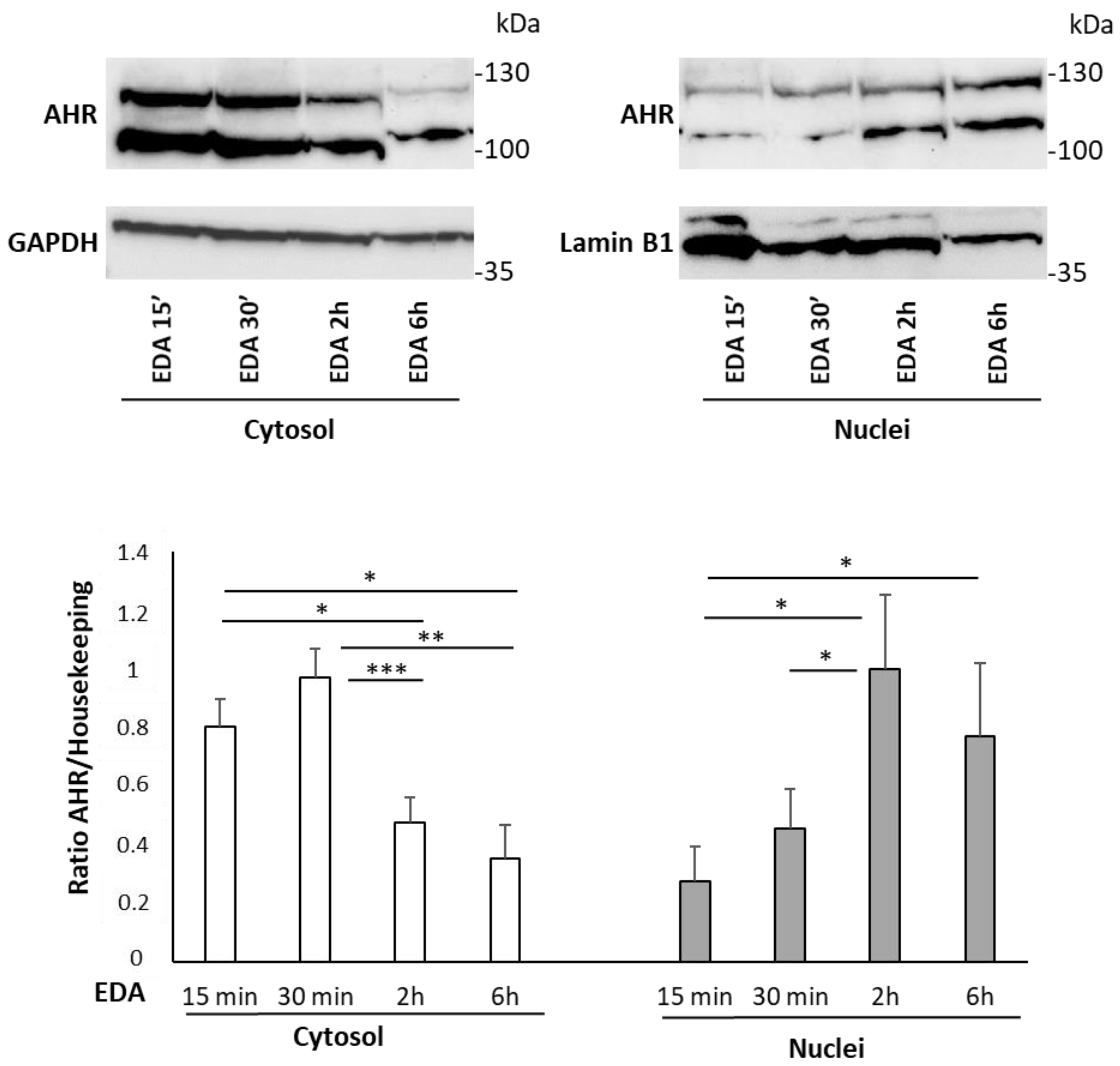 Biomolecules 14 00443 g004