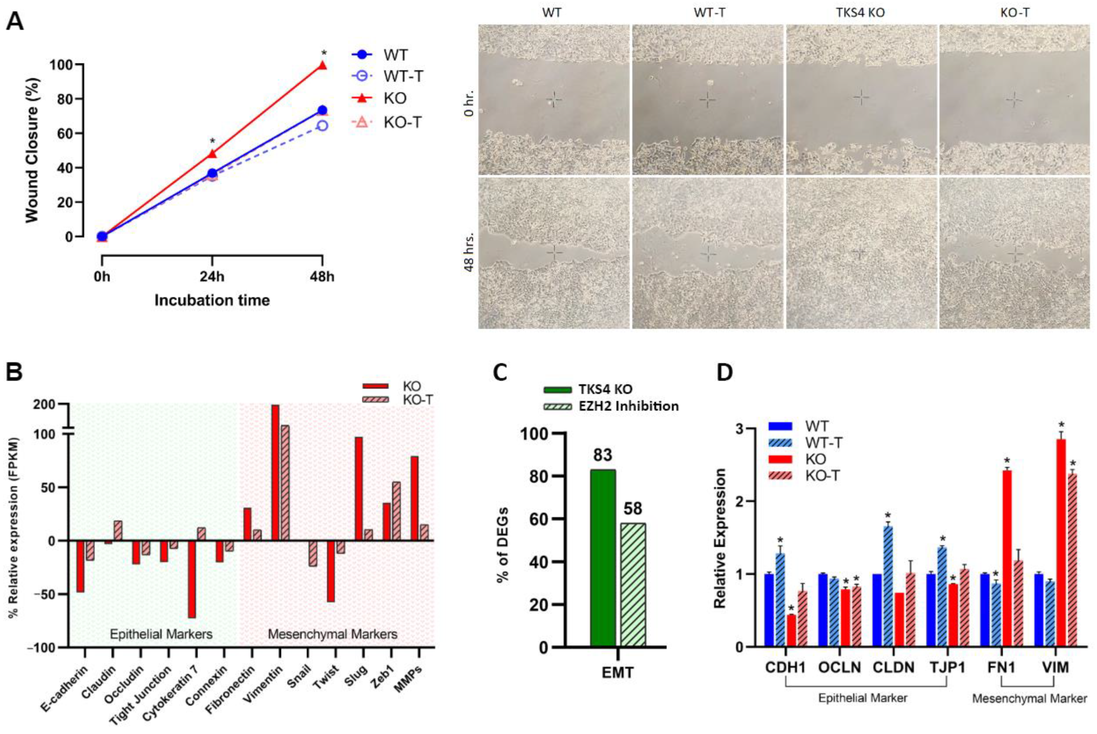 Biomolecules 14 00445 g002 Biomolecules 14 00445 g002