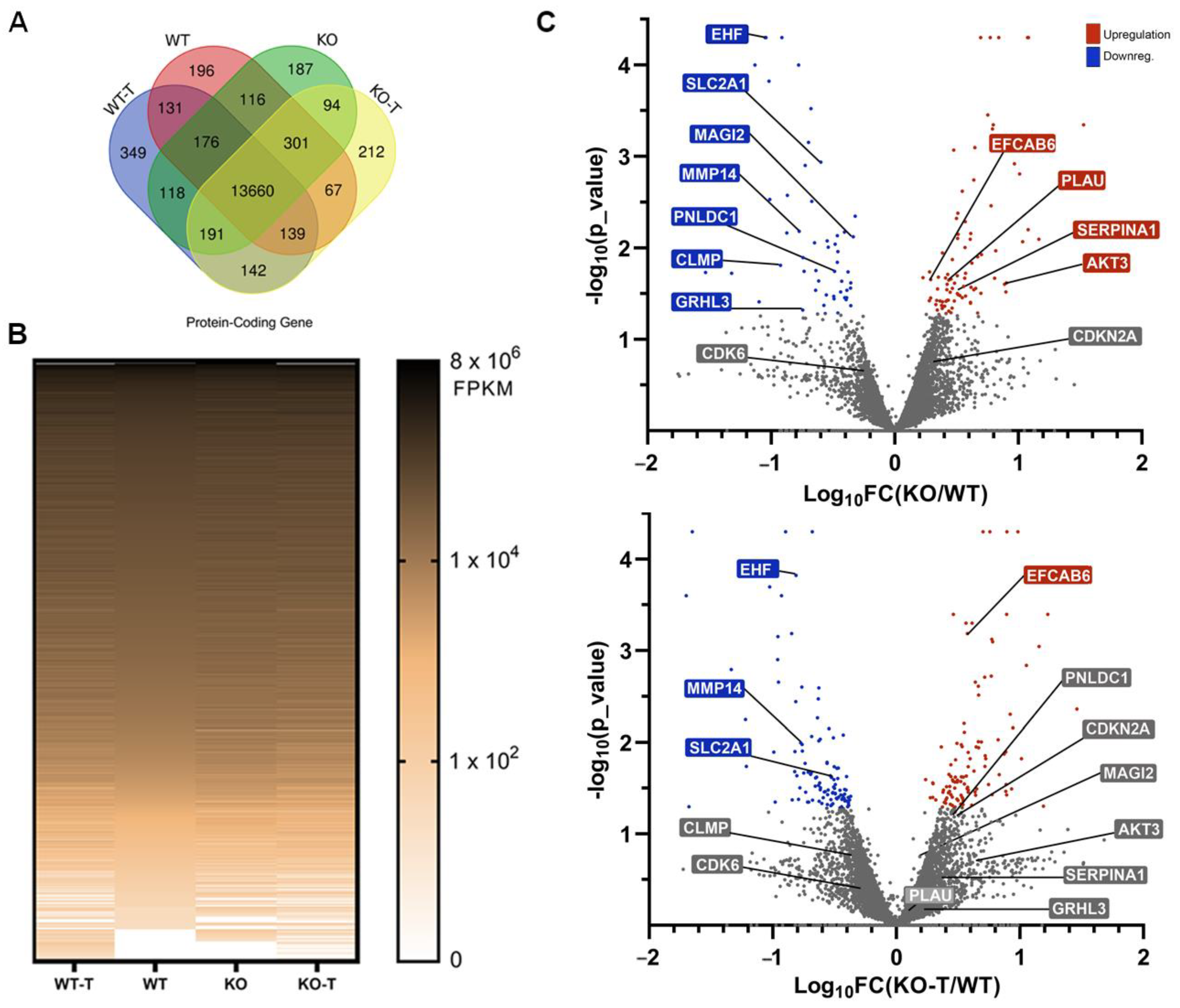 Biomolecules 14 00445 g005 Biomolecules 14 00445 g005