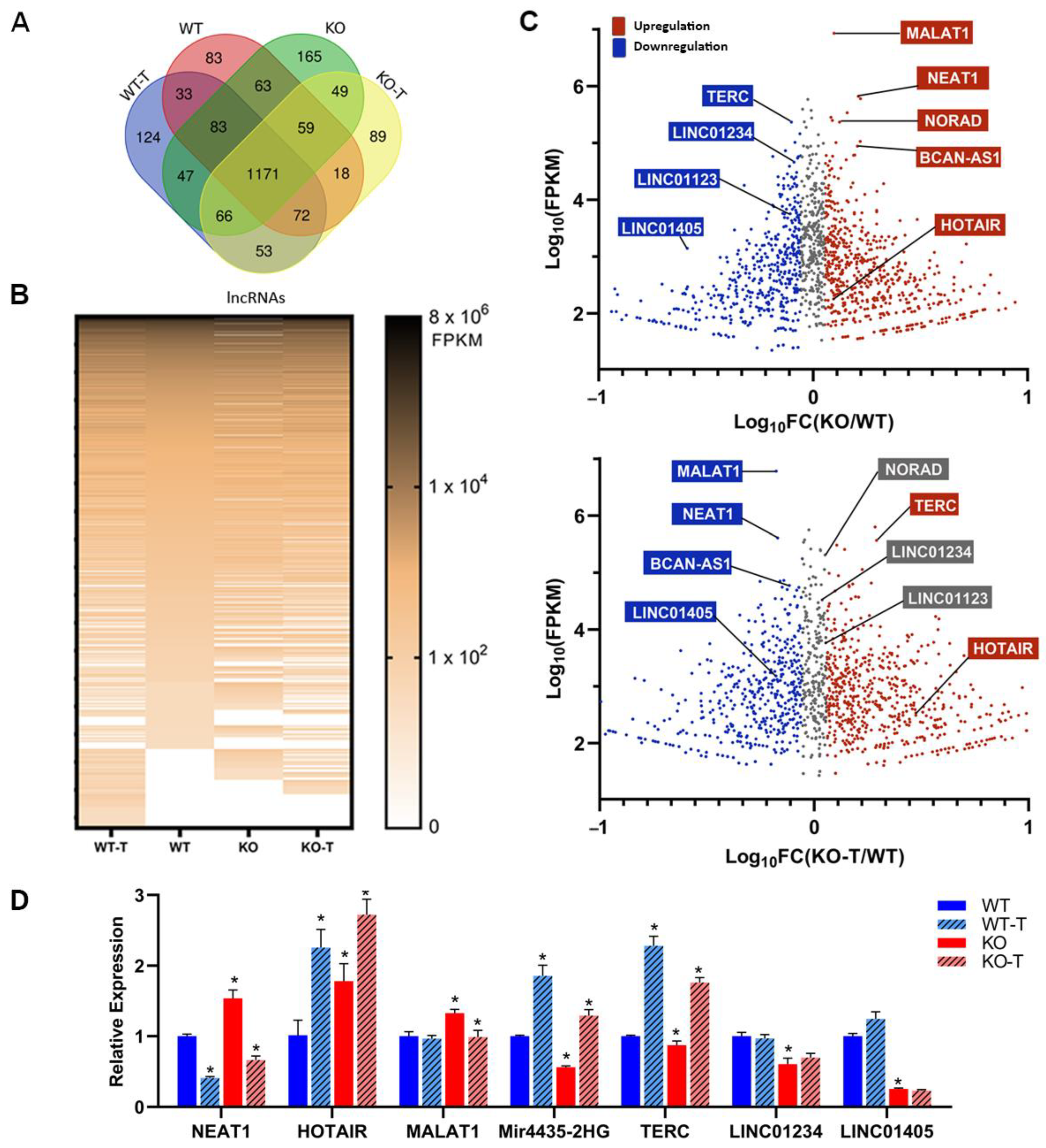 Biomolecules 14 00445 g007 Biomolecules 14 00445 g007