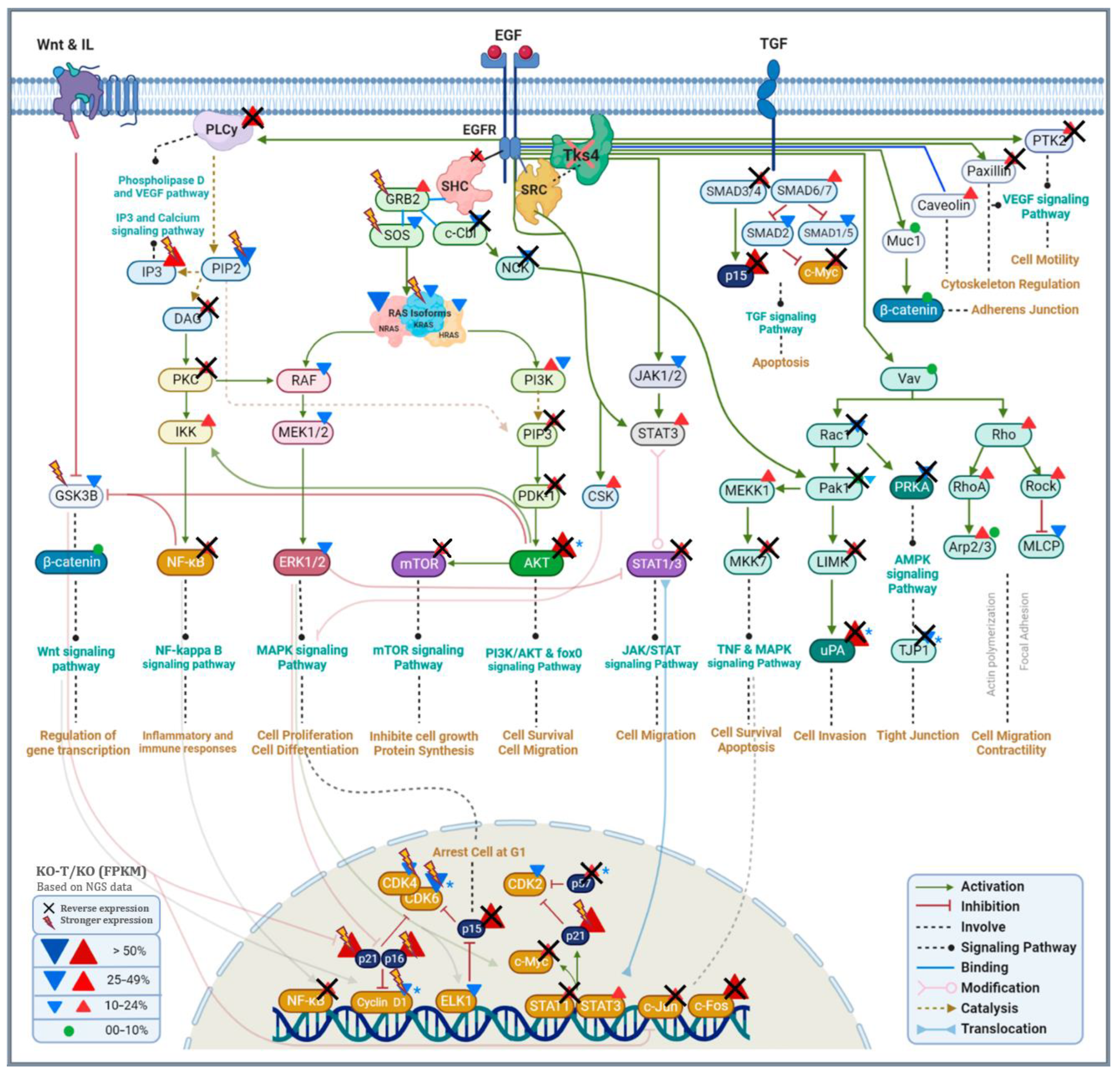 Biomolecules 14 00445 g008 Biomolecules 14 00445 g008