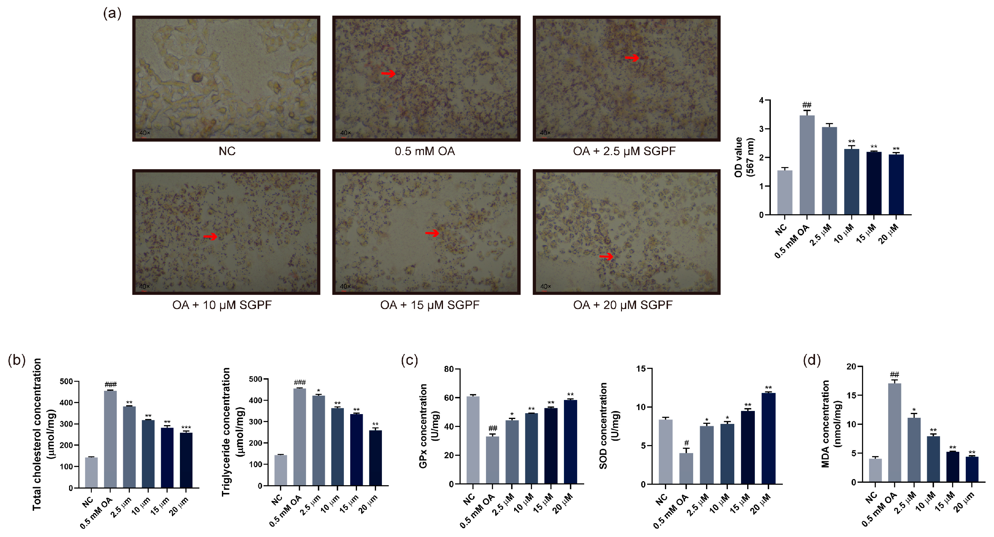 Biomolecules 14 00450 g004
