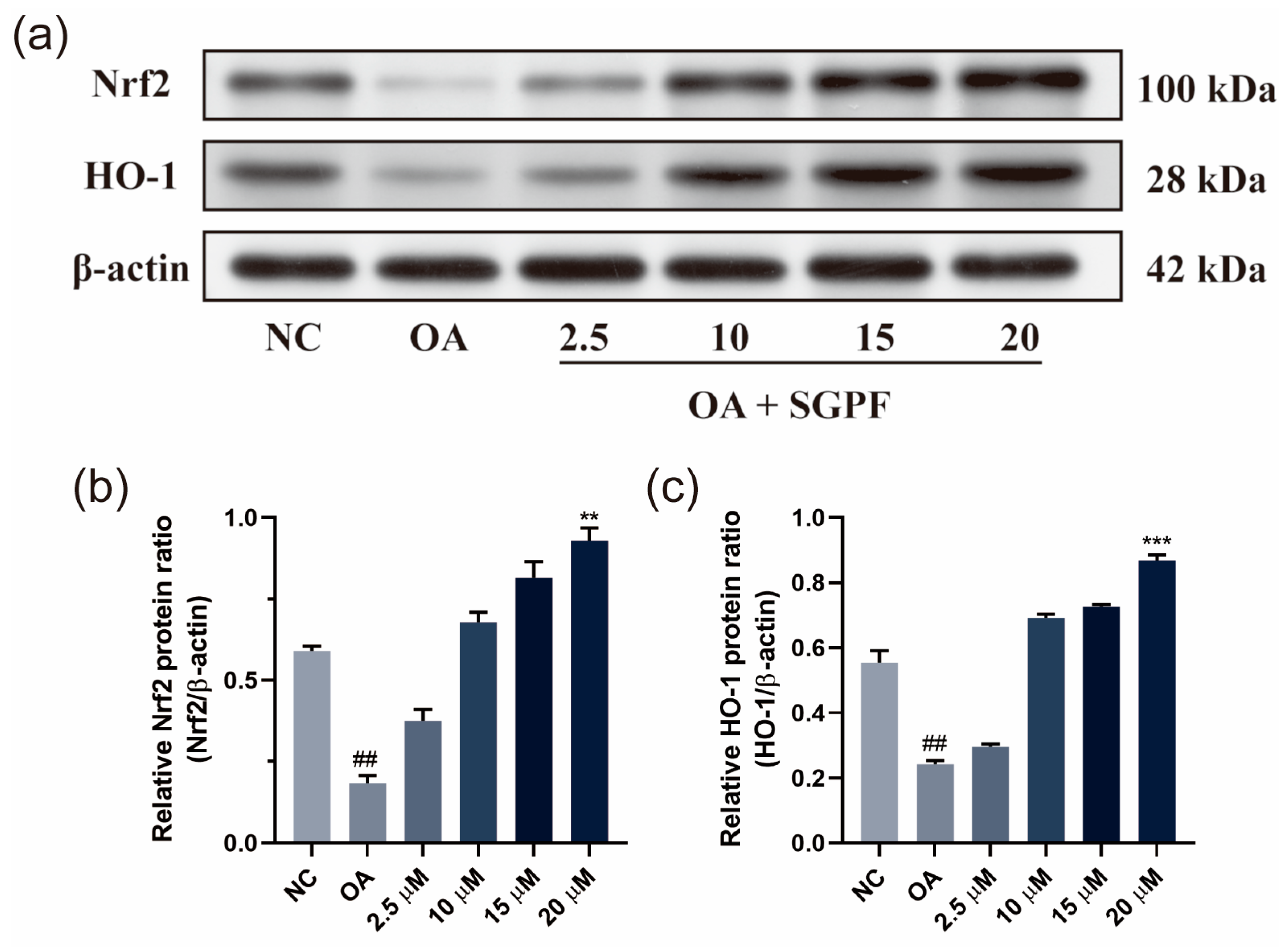 Biomolecules 14 00450 g007