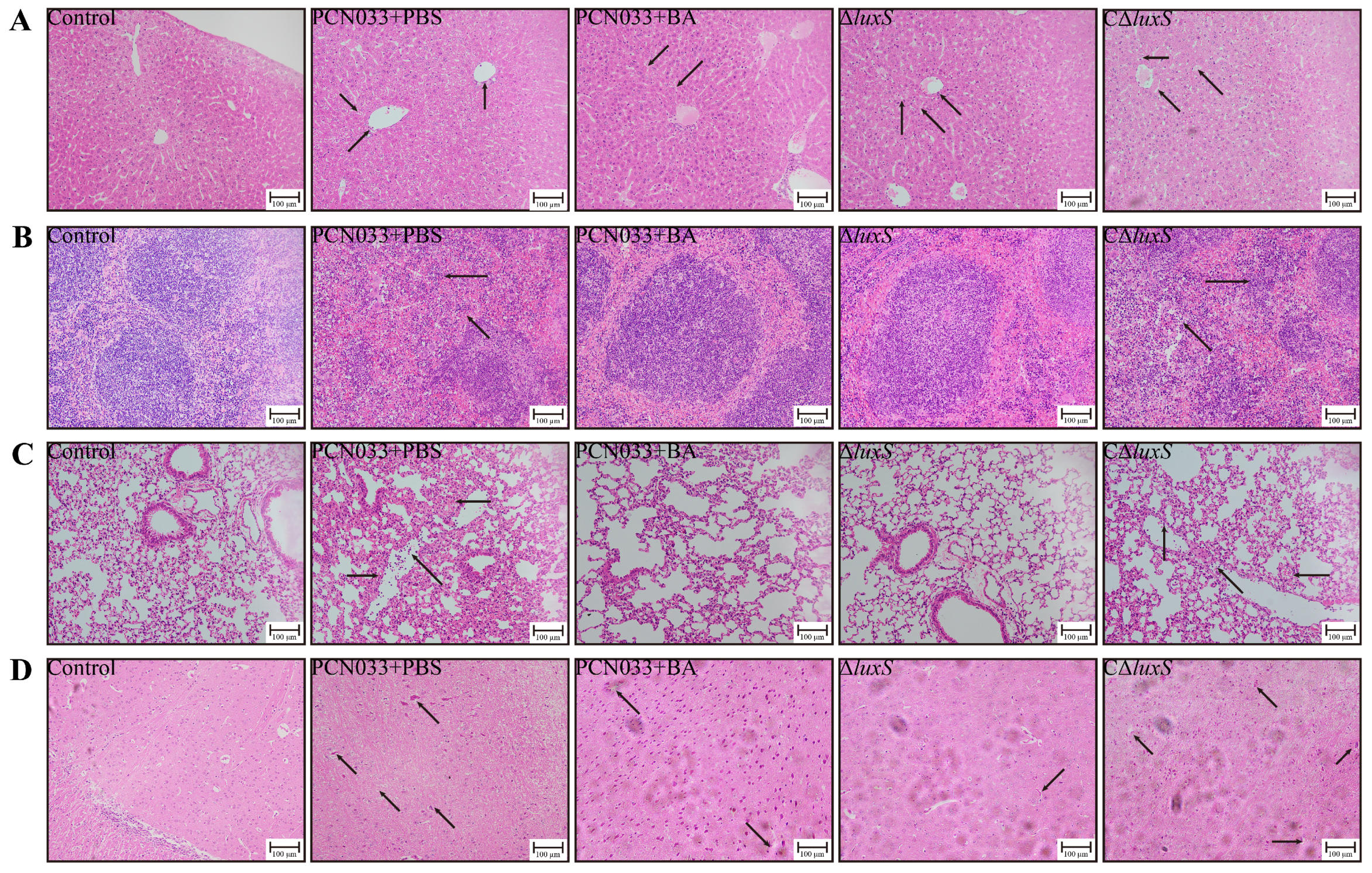 Biomolecules 14 00452 g008