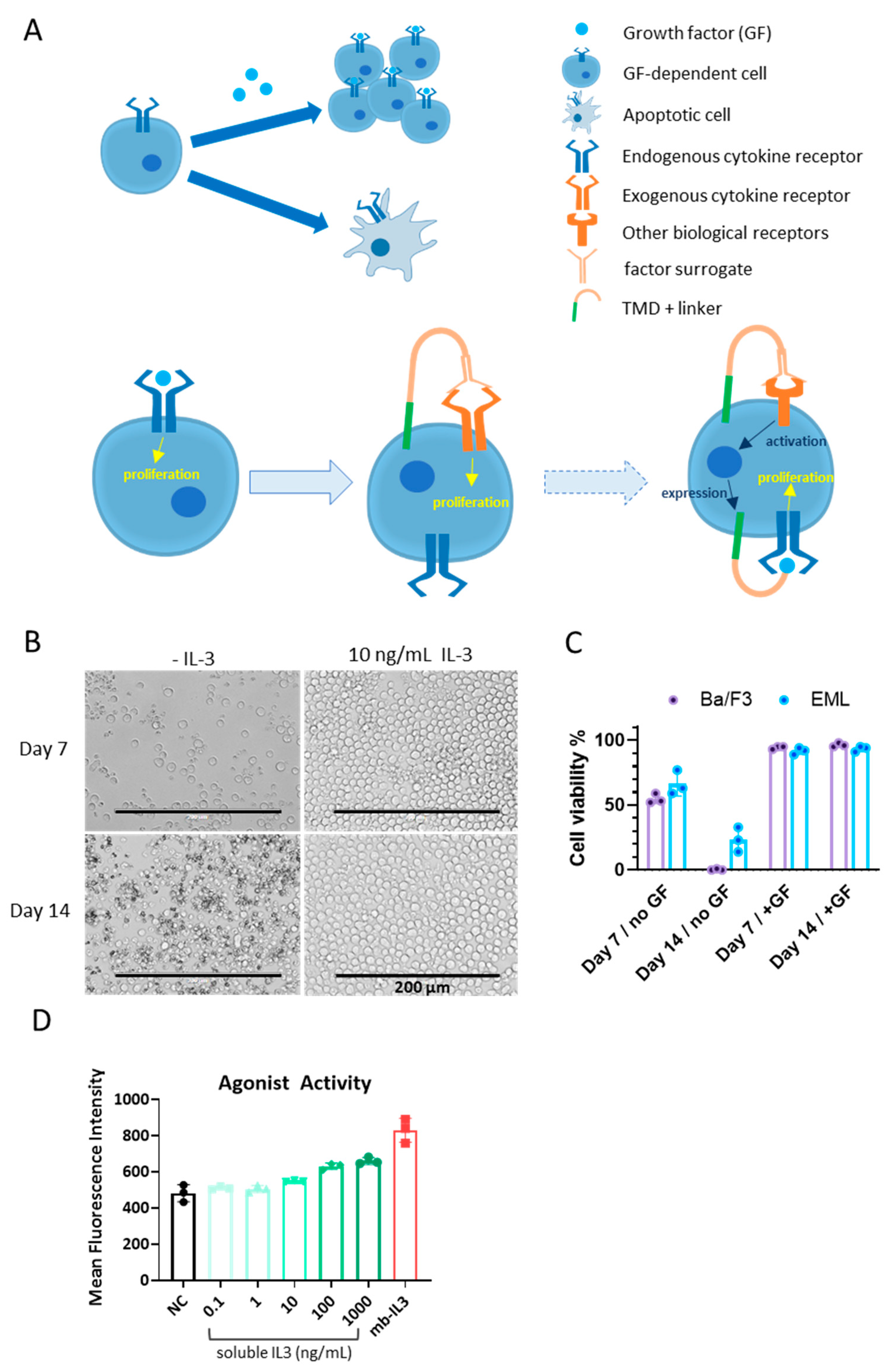 Biomolecules 14 00457 g001