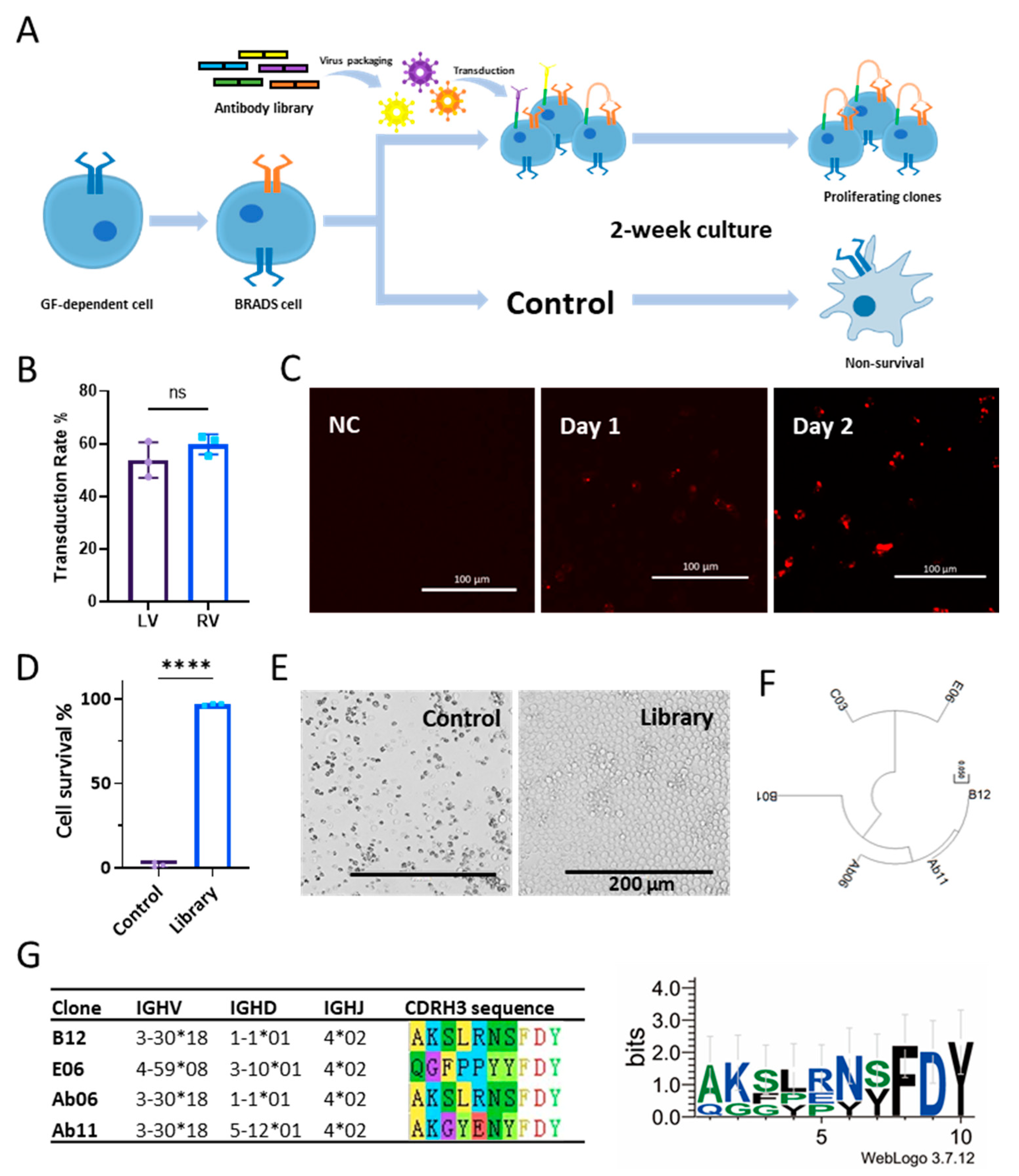 Biomolecules 14 00457 g002