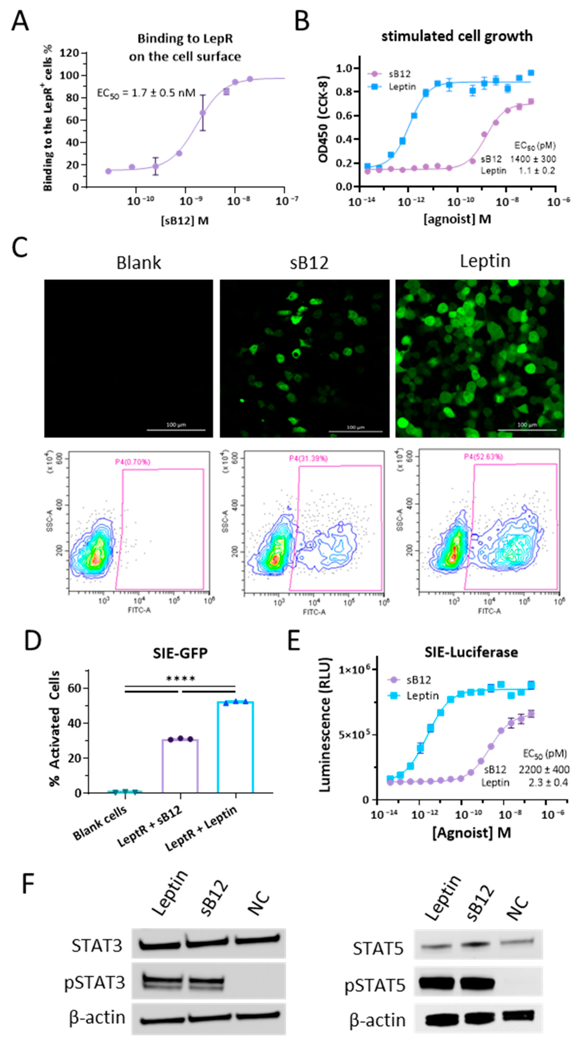 Biomolecules 14 00457 g003