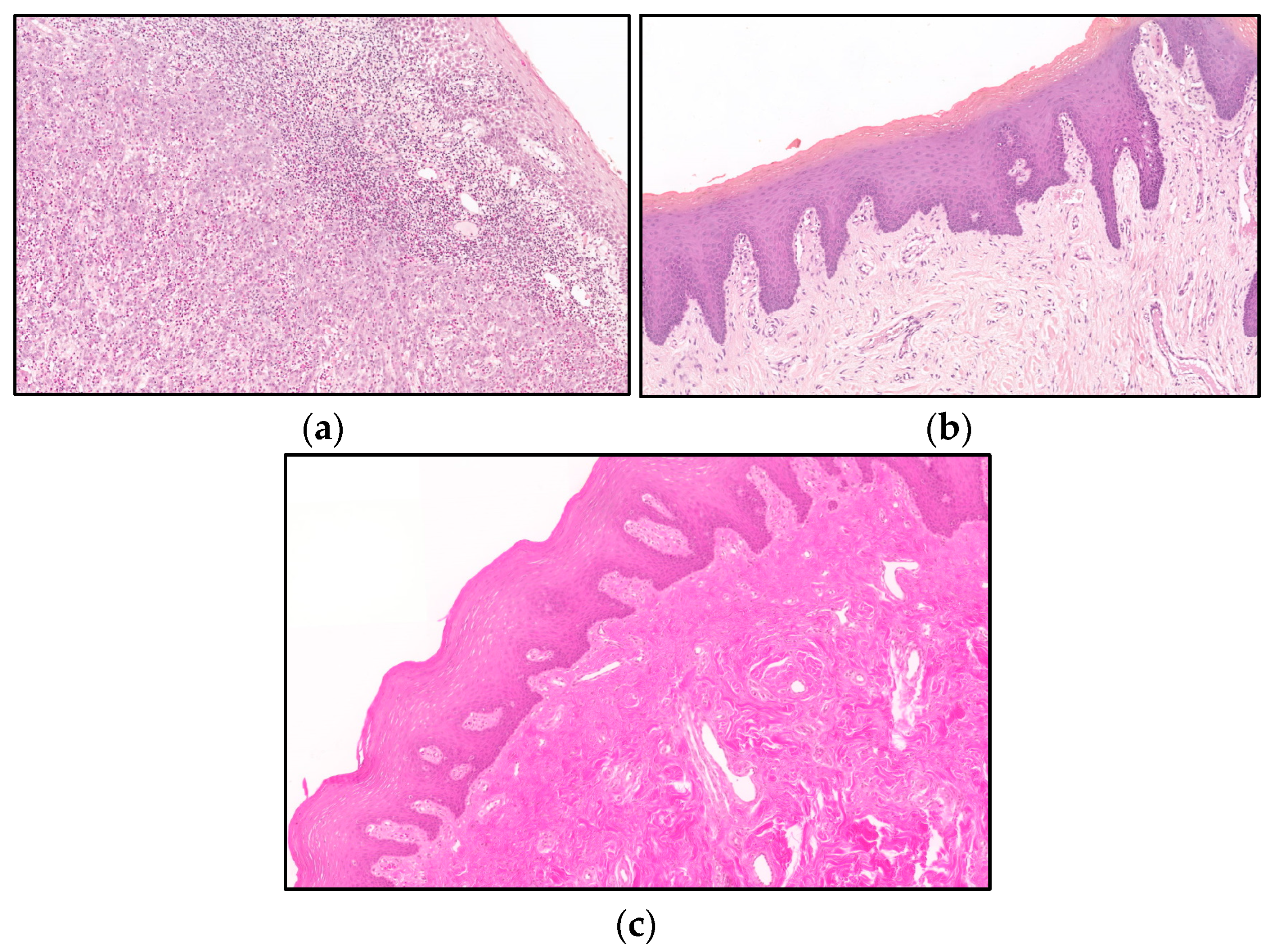 Biomolecules 14 00458 g003