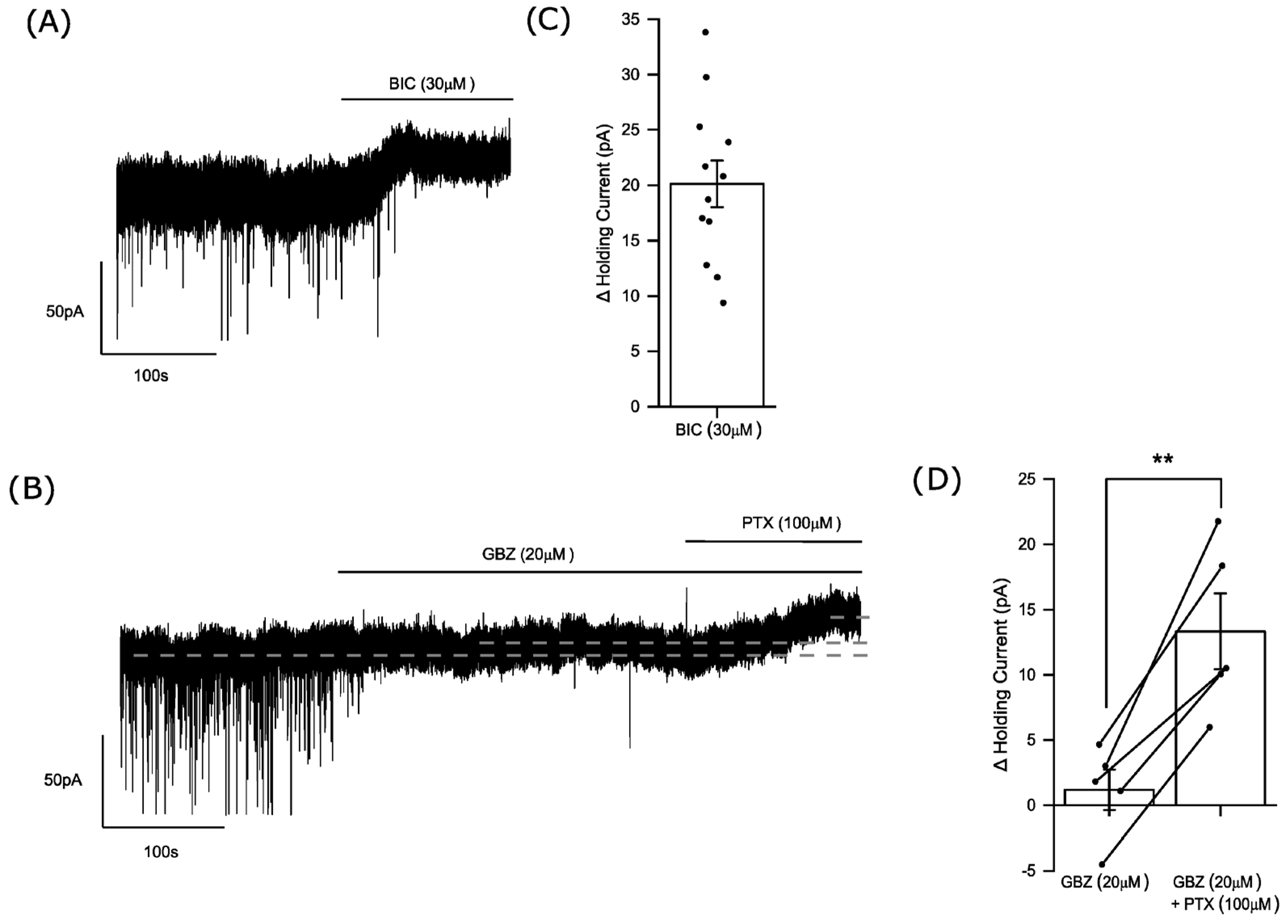 Biomolecules 14 00460 g001