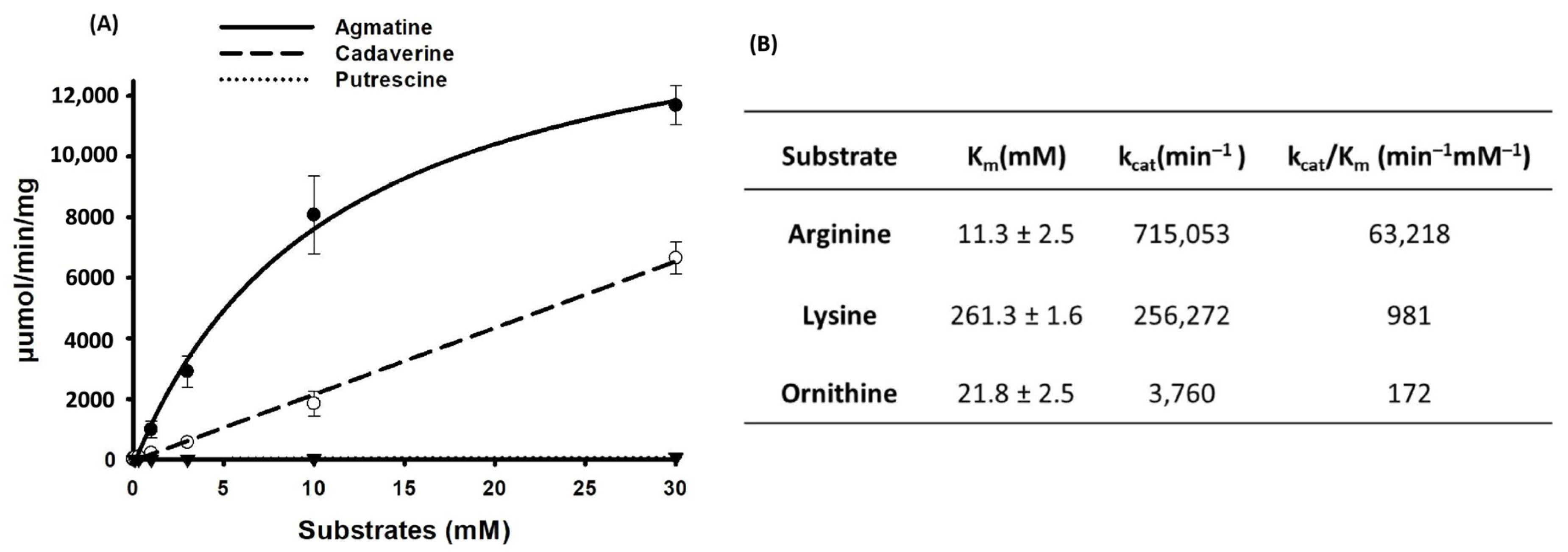 Biomolecules 14 00463 g006 Biomolecules 14 00463 g006