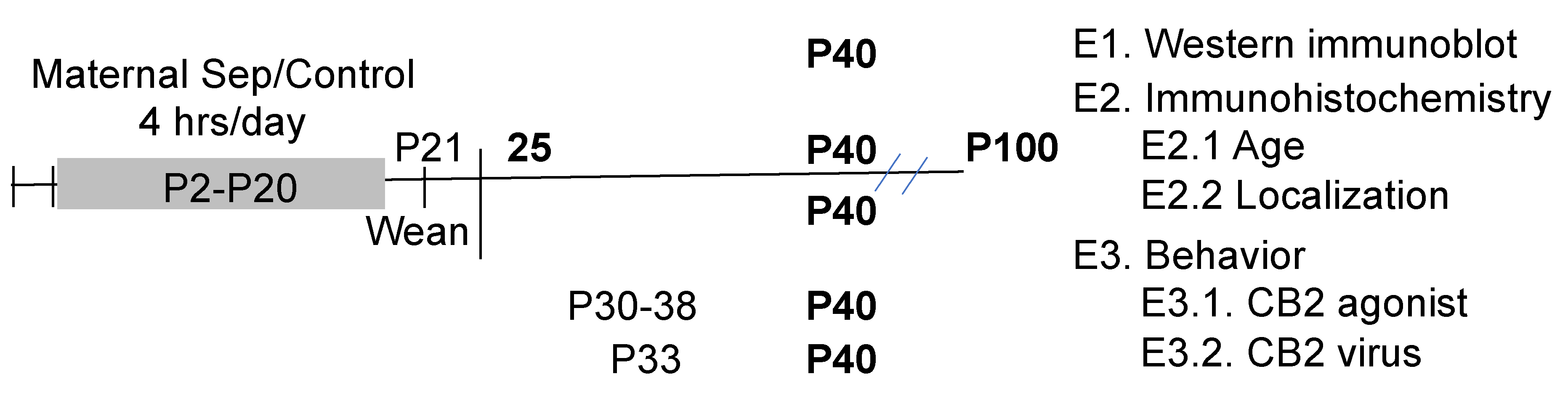 Biomolecules 14 00464 g001 Biomolecules 14 00464 g001