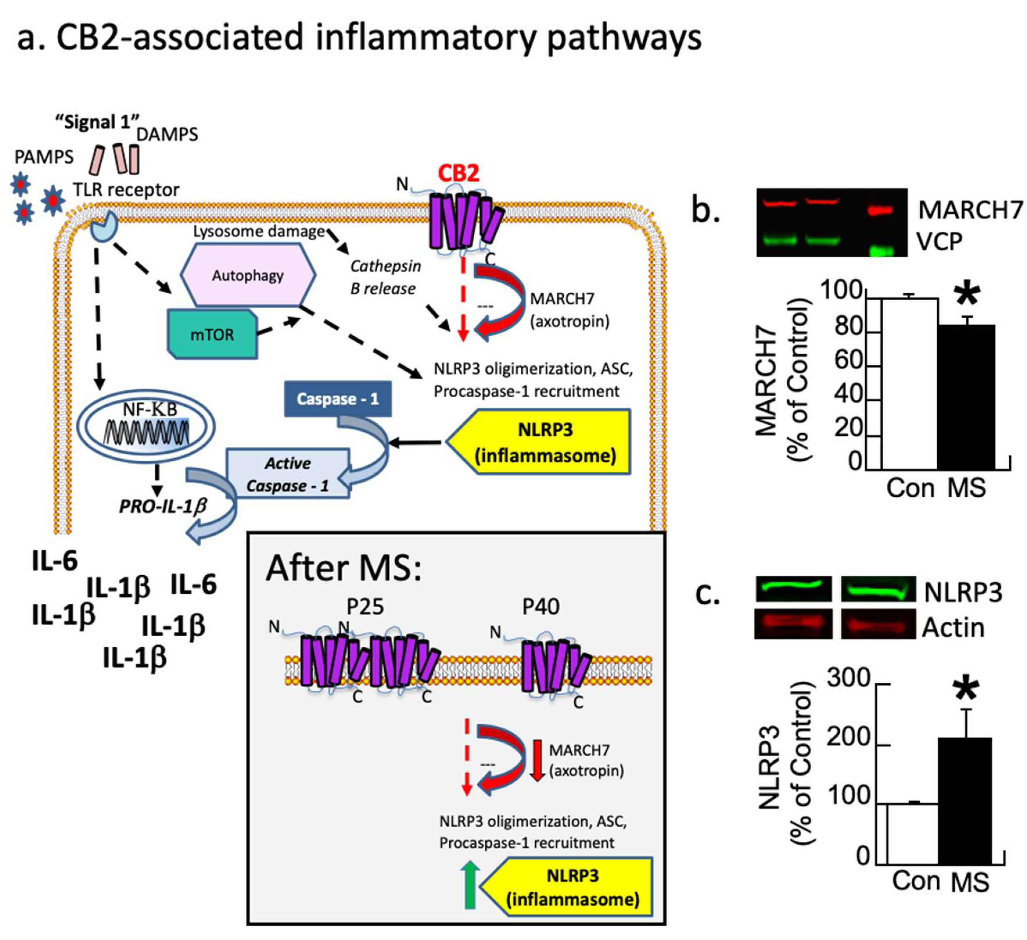 Biomolecules 14 00464 g002 Biomolecules 14 00464 g002