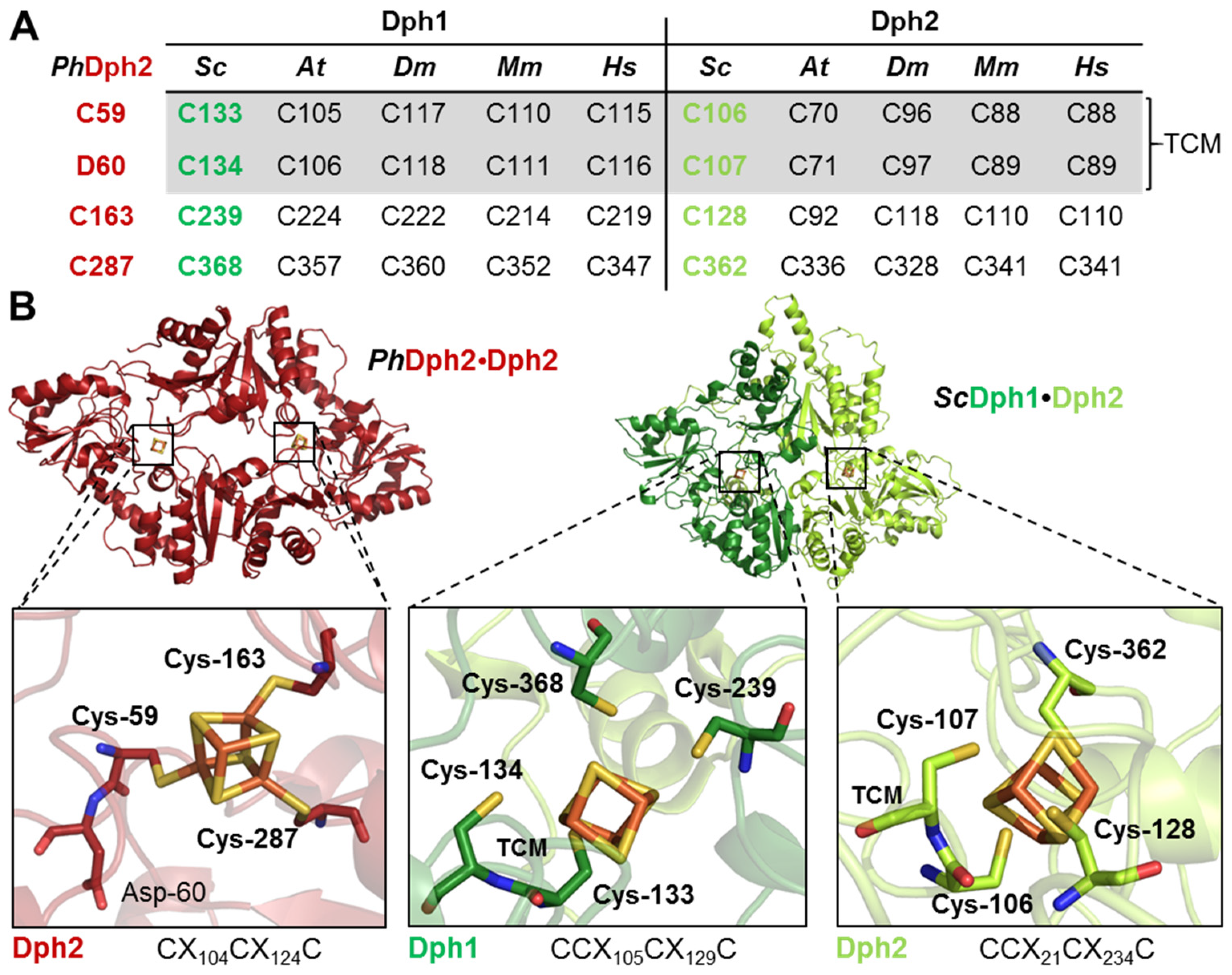 Biomolecules 14 00470 g001
