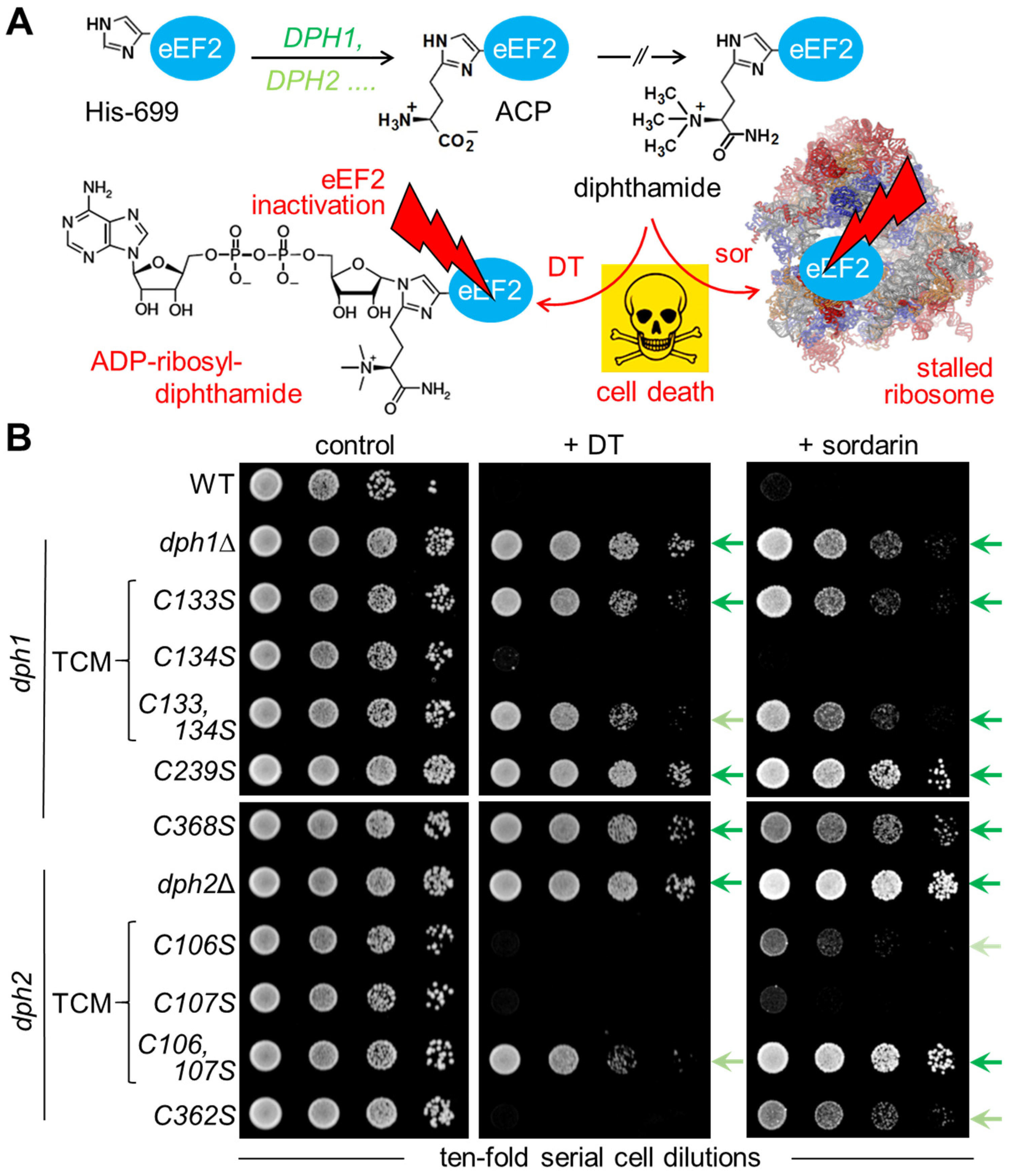 Biomolecules 14 00470 g002