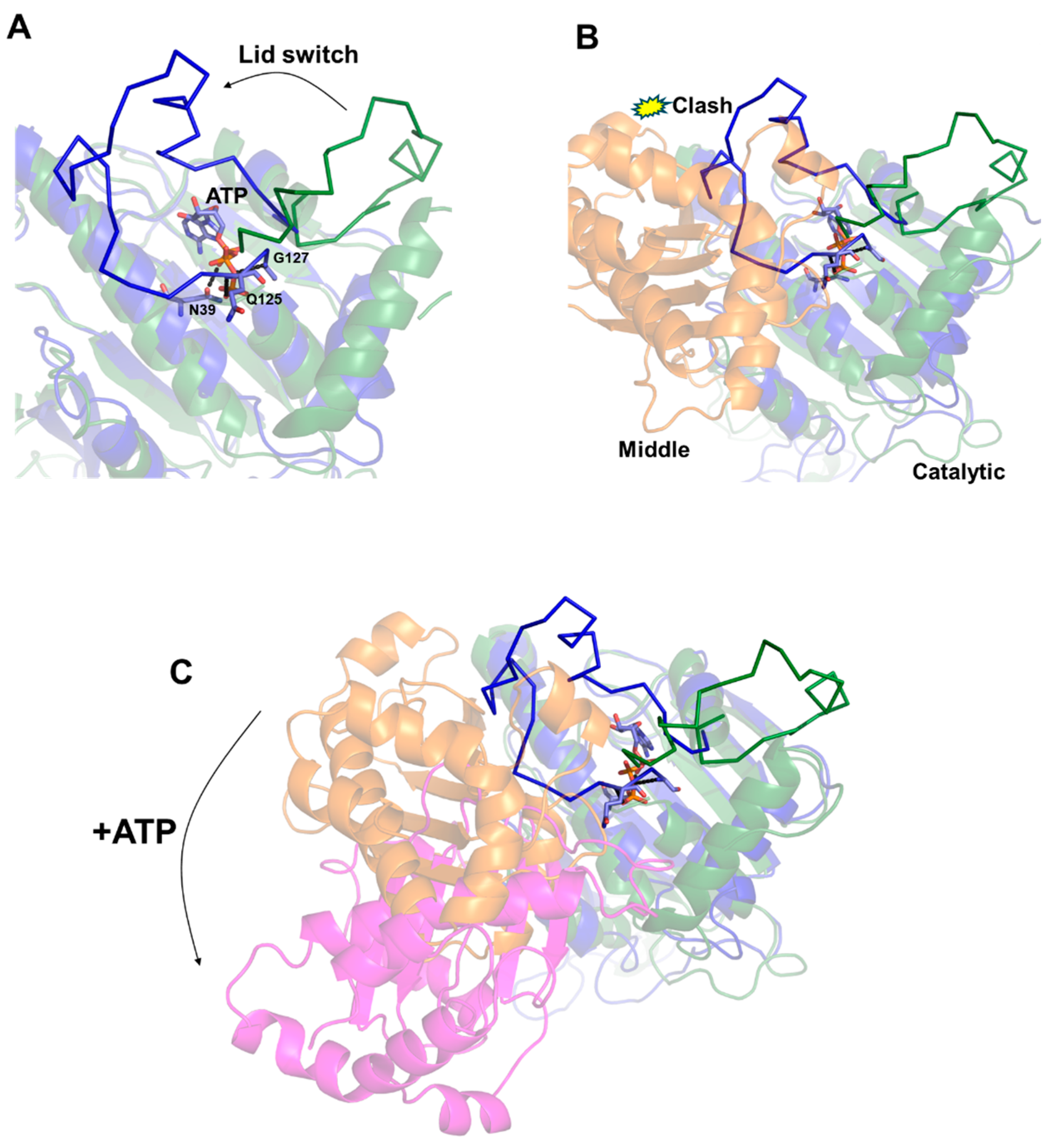 Biomolecules 14 00471 g002