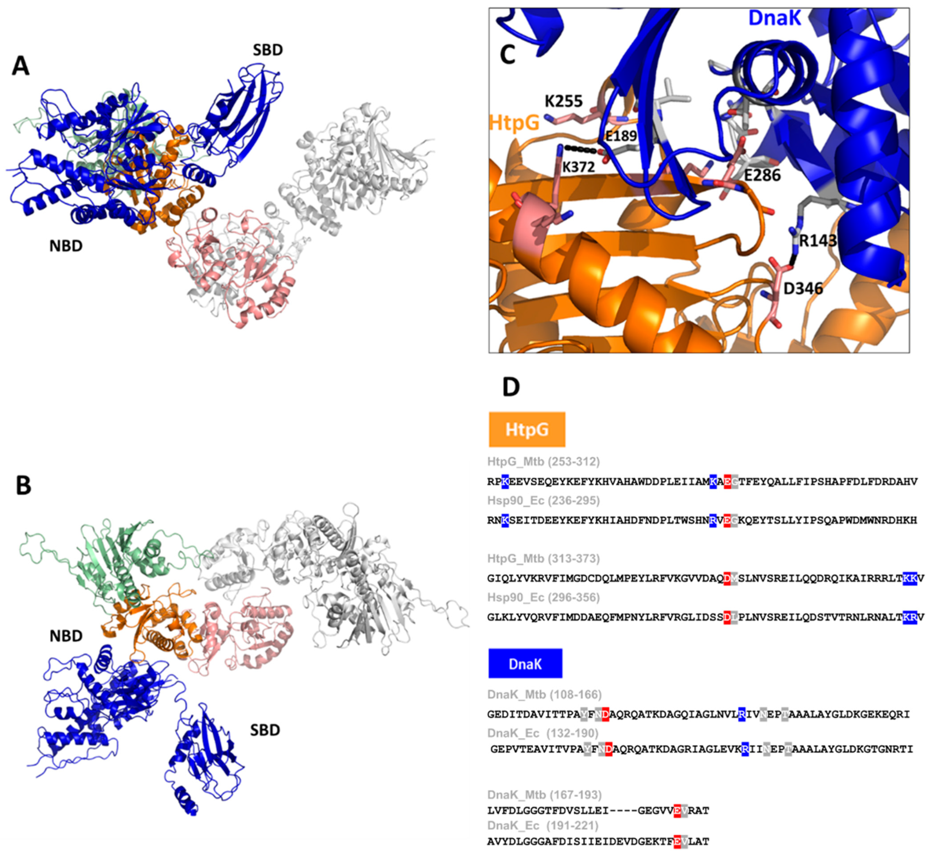 Biomolecules 14 00471 g004