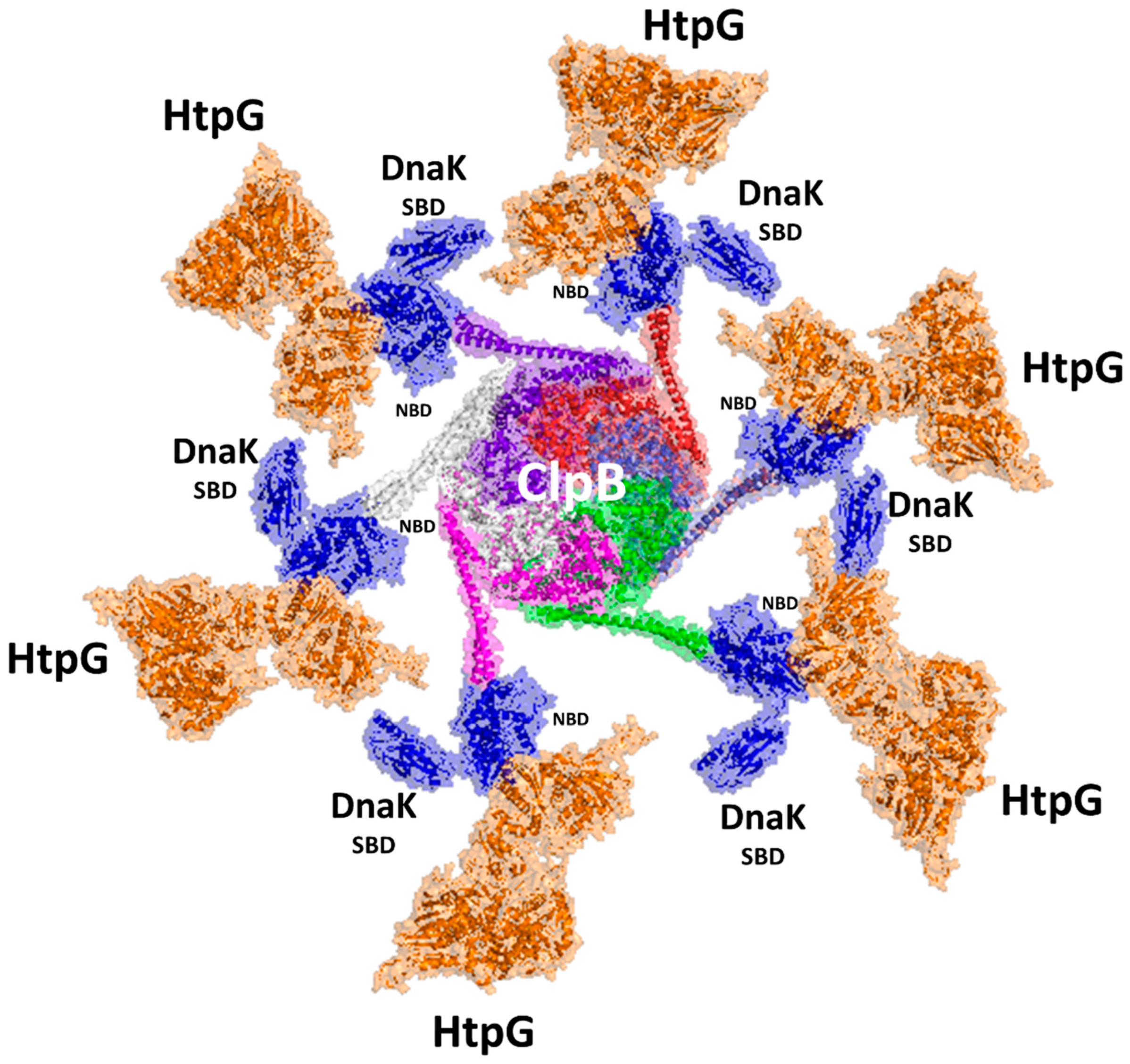 Biomolecules 14 00471 g005