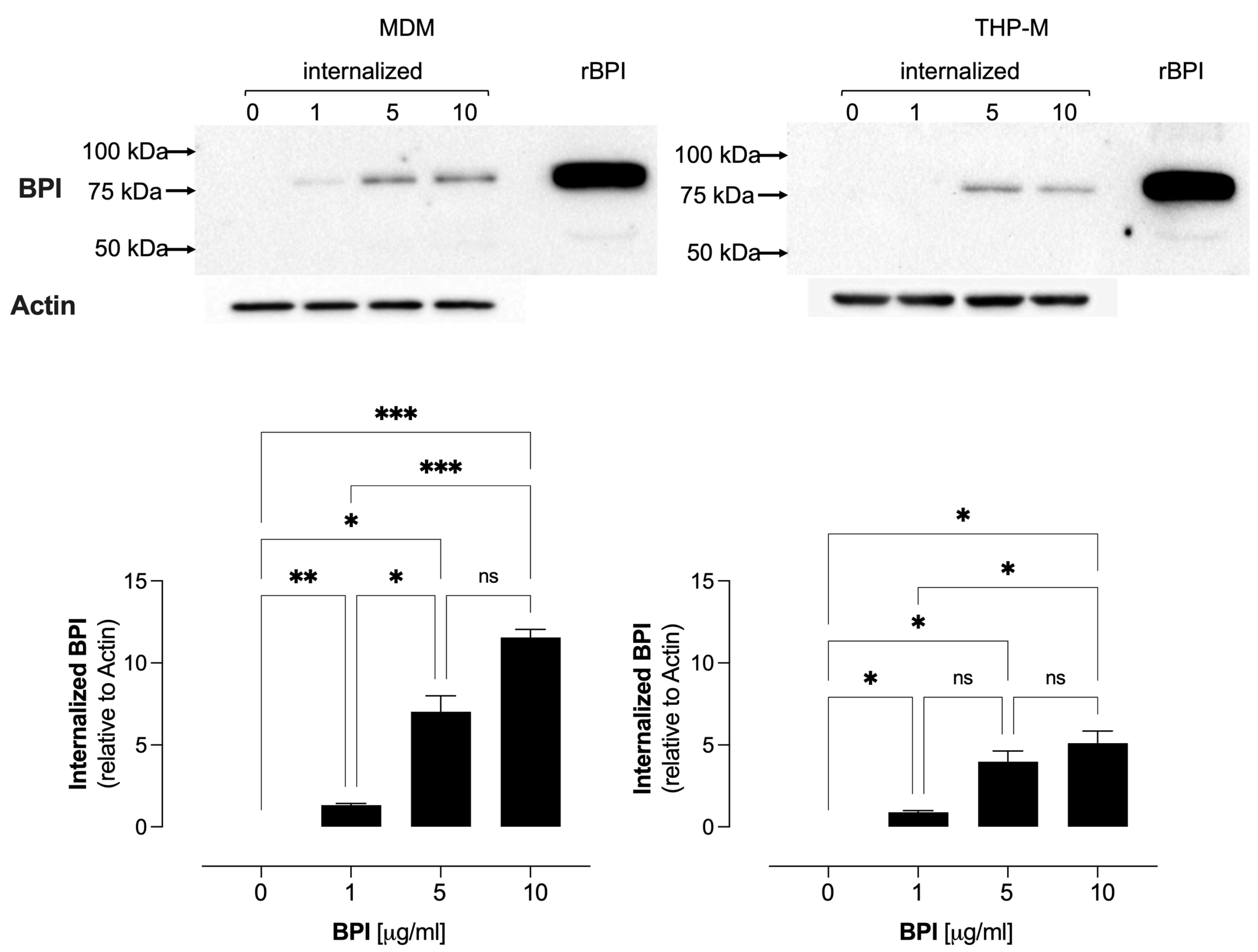 Biomolecules 14 00475 g001