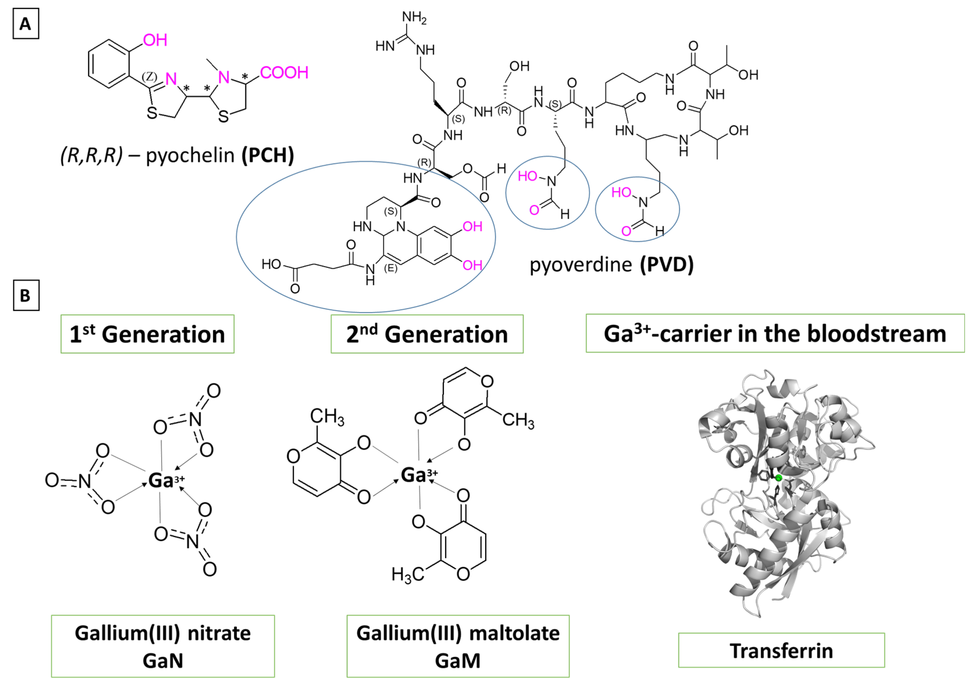 Biomolecules 14 00487 g002
