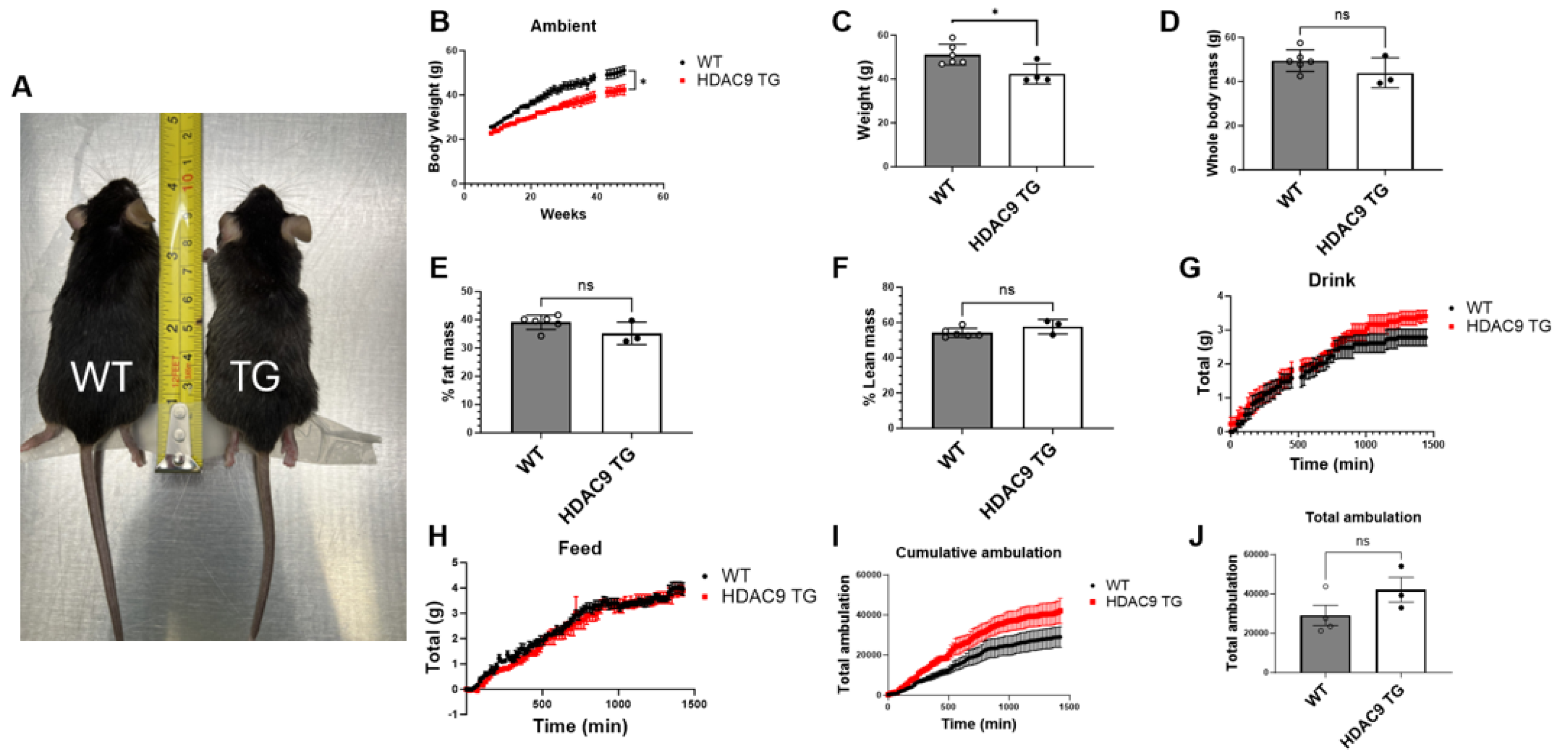 Biomolecules 14 00494 g002