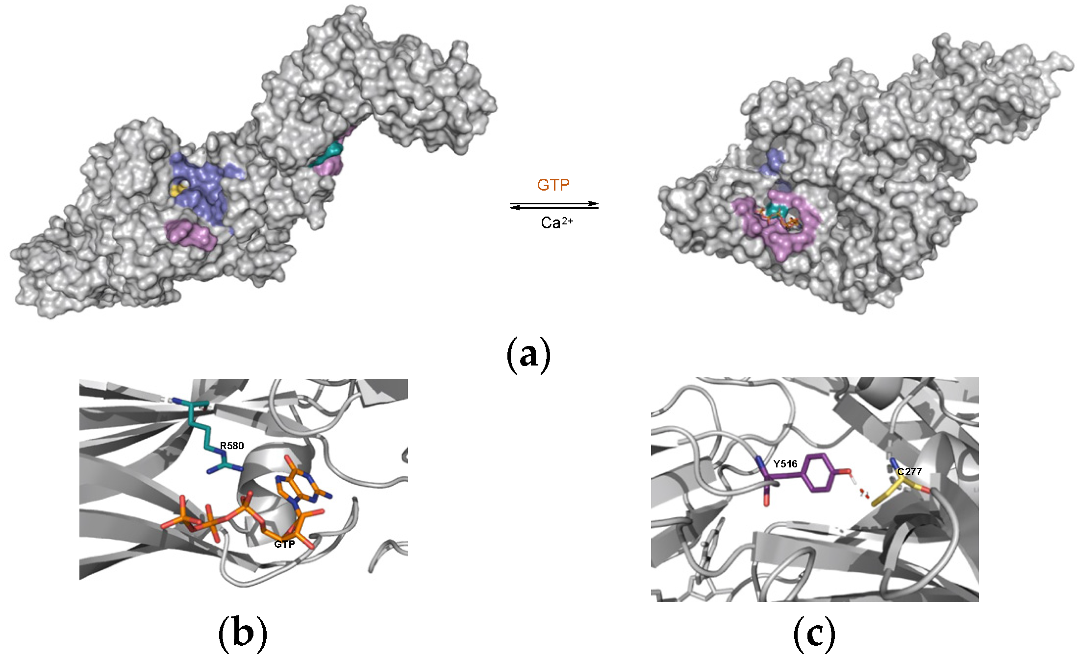 Biomolecules 14 00496 g001 Biomolecules 14 00496 g001